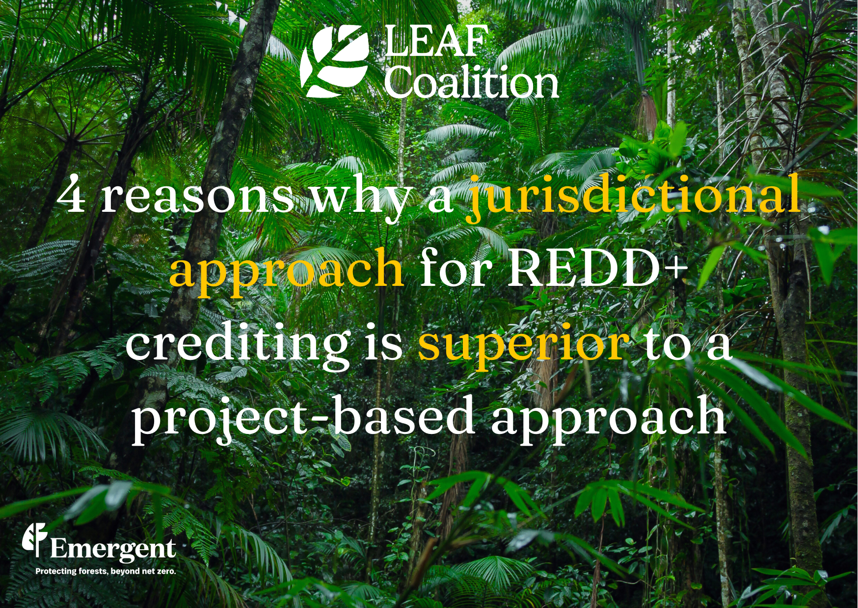 4 reasons why a jurisdictional approach for REDD+ crediting is superior to a project-based approach