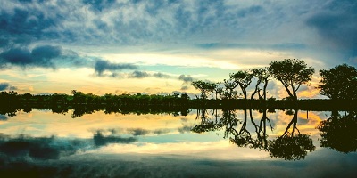 Opinion: A New Wave of Global Resolve to Protect Tropical Forests around the World