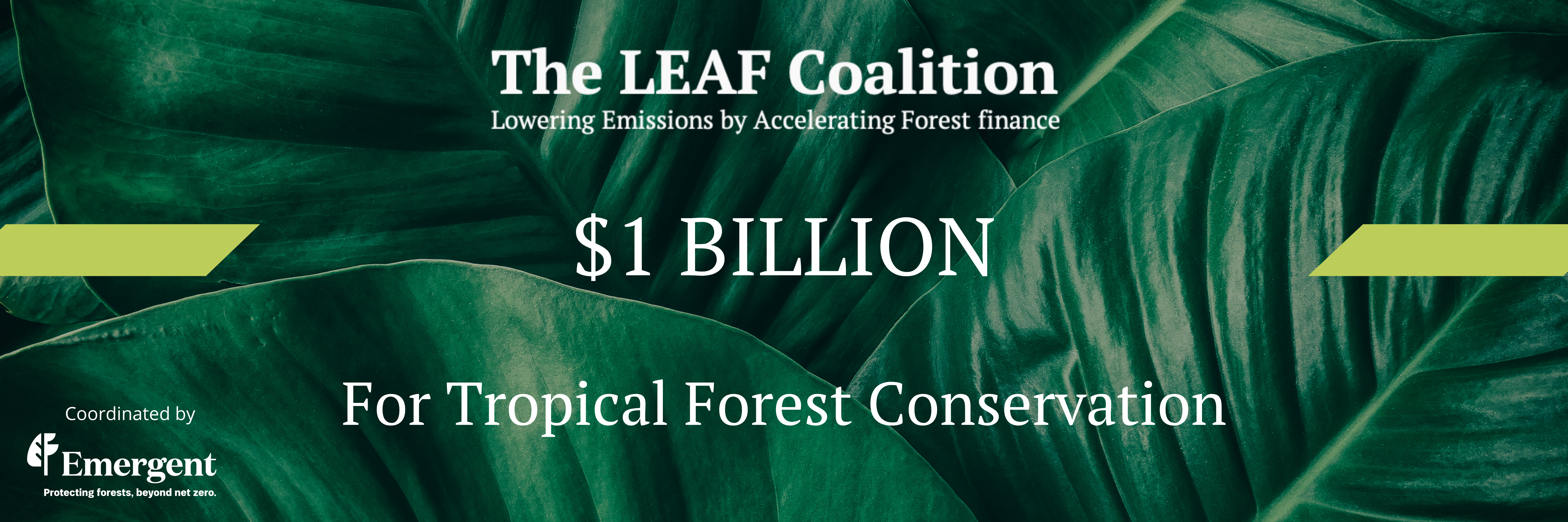 LEAF Coalition Mobilizes $1 Billion for Tropical Forest Conservation