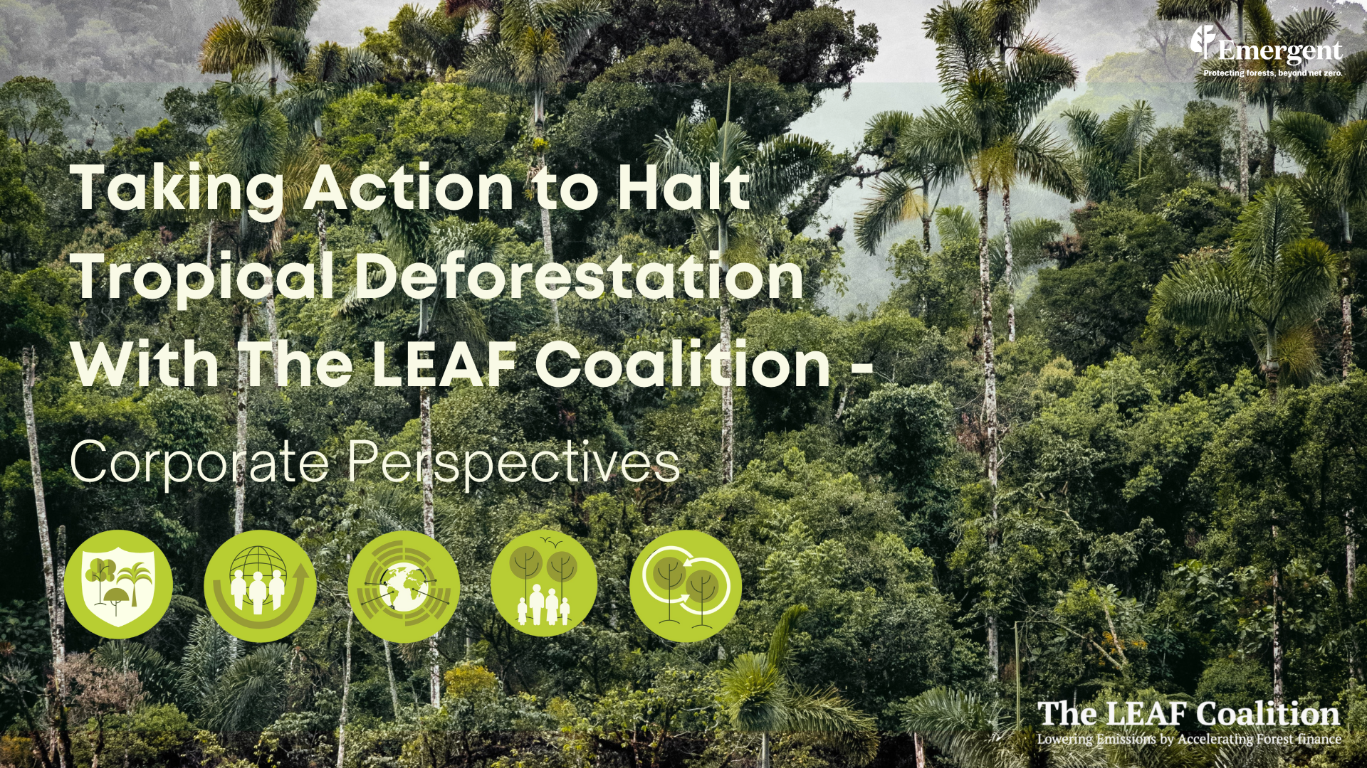 18 JULY 2022: Emergent launches new #WhyLEAF report 