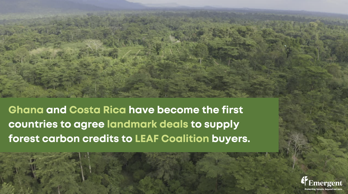 COP28: Costa Rica and Ghana Agree Landmark Deals to Supply Forest Carbon Credits to LEAF Coalition Buyers