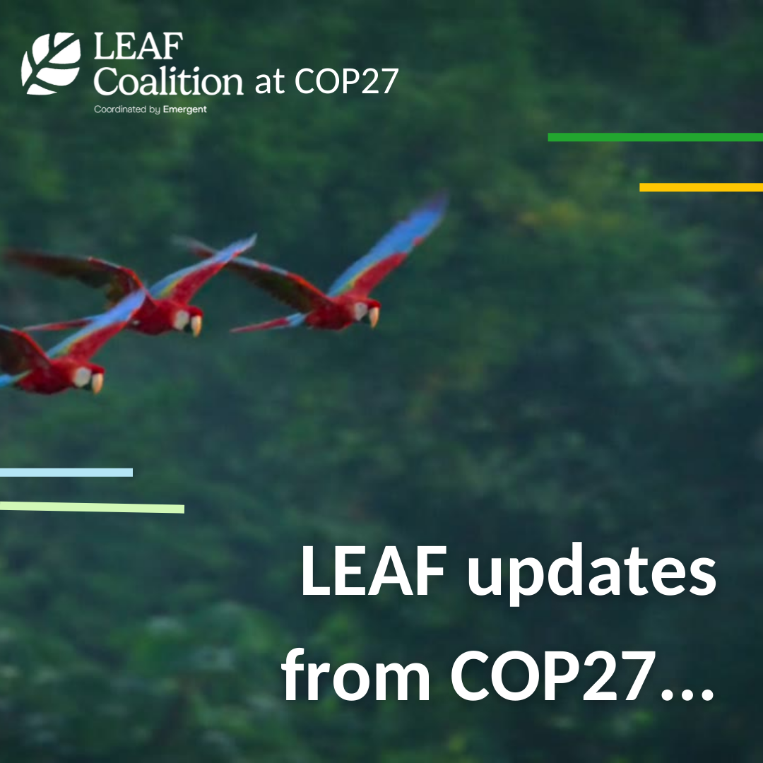 LEAF Coalition Commitments top $1.5 billion at COP27