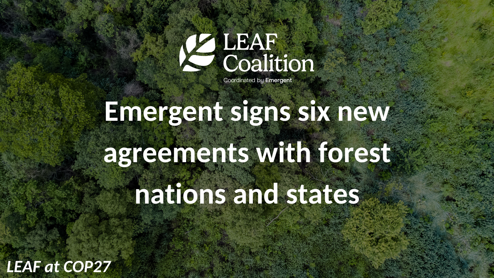 Emergent signs six new agreements with Brazilian states and forest countries 
