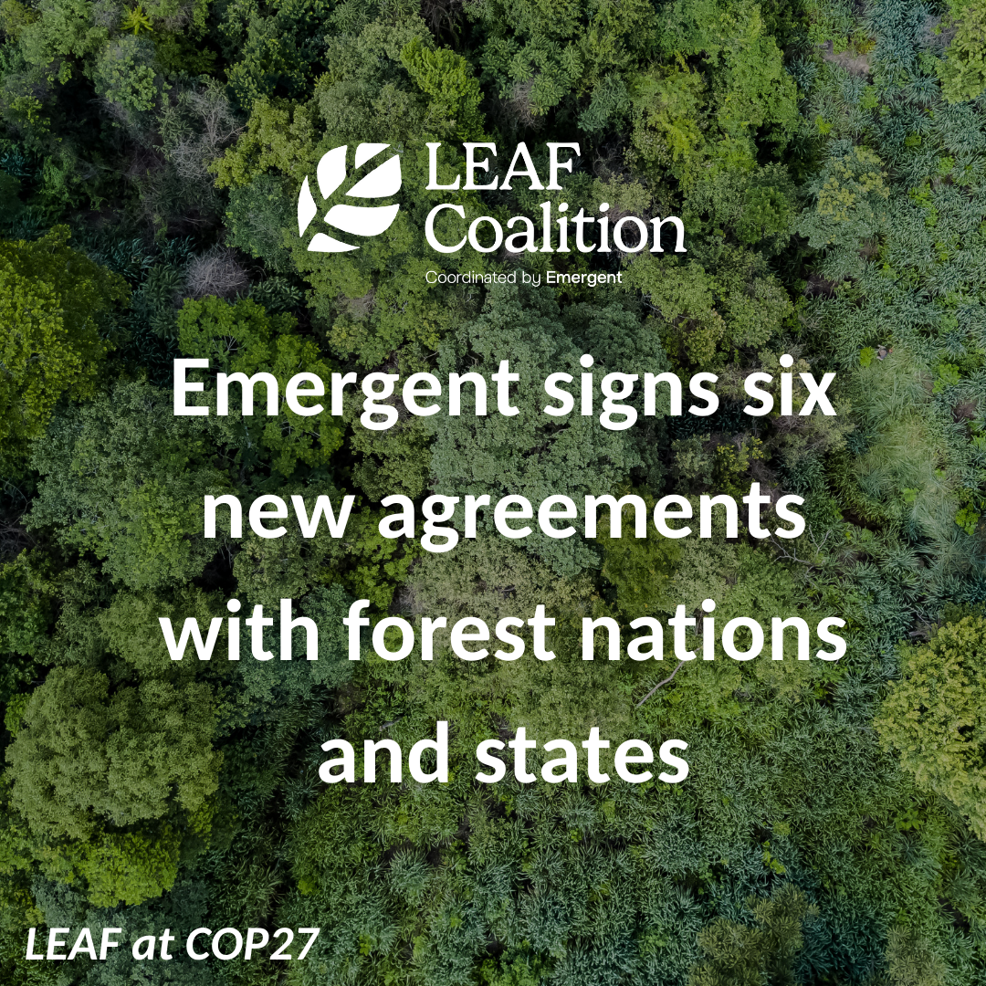 Emergent signs six new agreements with Brazilian states and forest countries