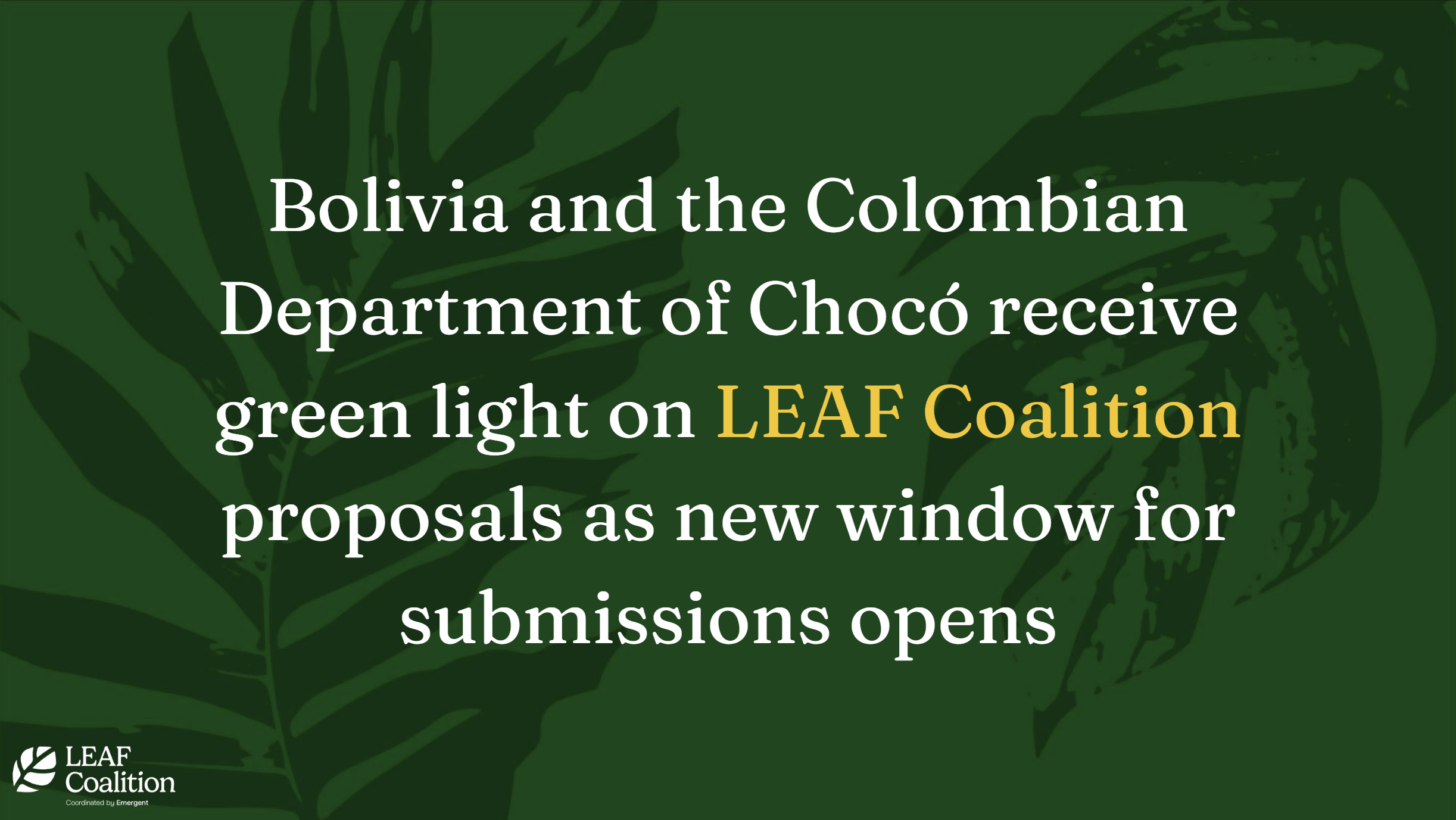 Bolivia and Colombian Department of Chocó receive green light on LEAF Coalition proposals as new window for submissions opens