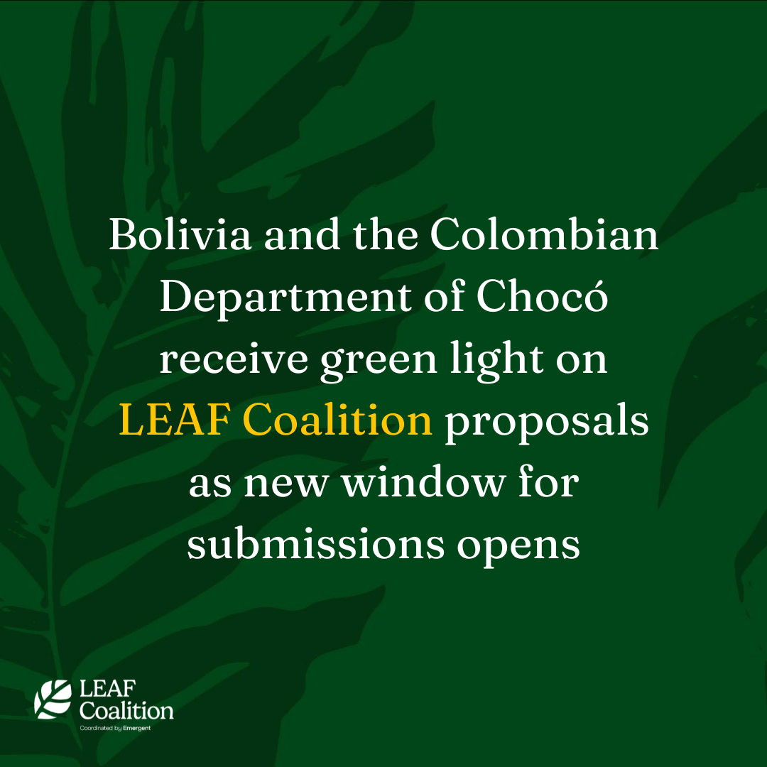 Bolivia and Colombian Department of Chocó receive green light on LEAF Coalition proposals as new window for submissions opens