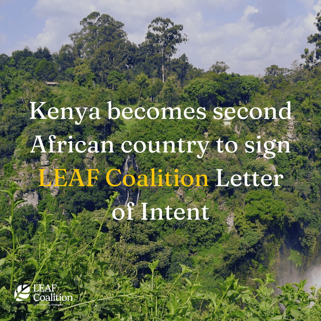 Kenya becomes second African country to sign LEAF Coalition Letter of Intent