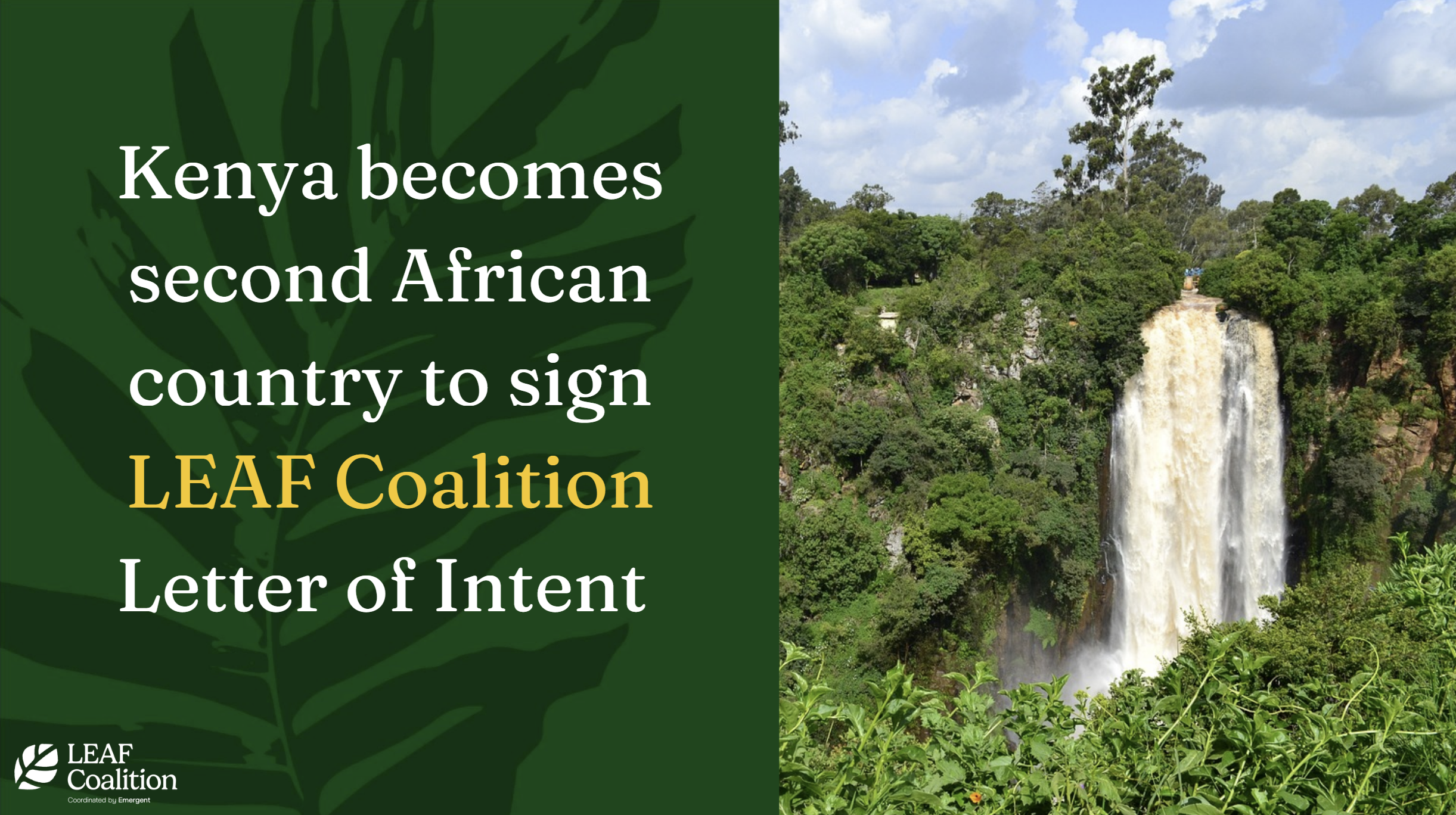 Kenya becomes second African country to sign LEAF Coalition Letter of Intent