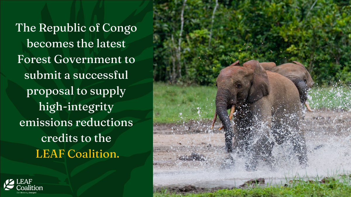The Republic of Congo submits successful proposal to the LEAF Coalition. 