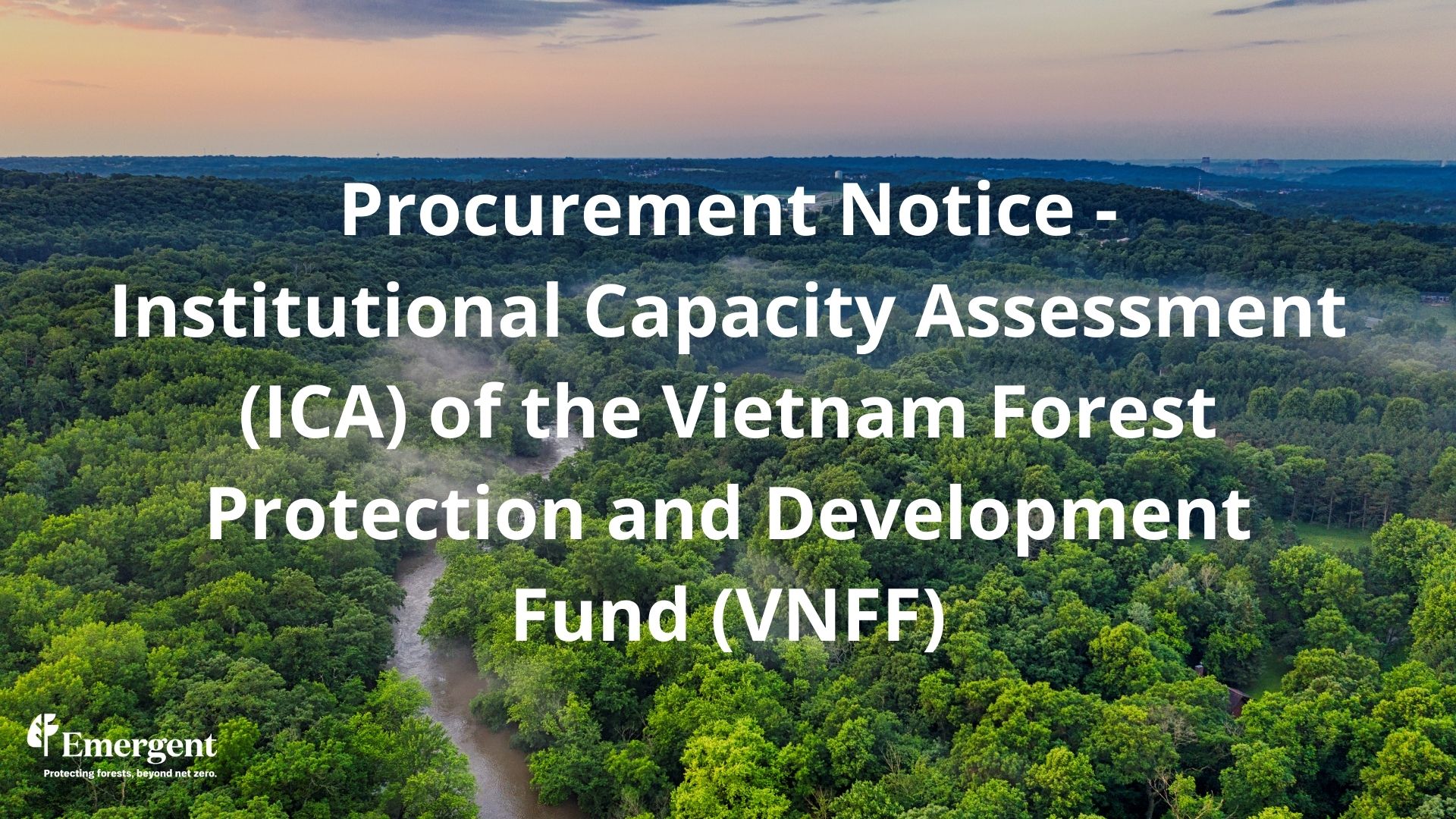 Procurement Notice - Institutional Capacity Assessment (ICA) of the Vietnam Forest Protection and Development Fund (VNFF)