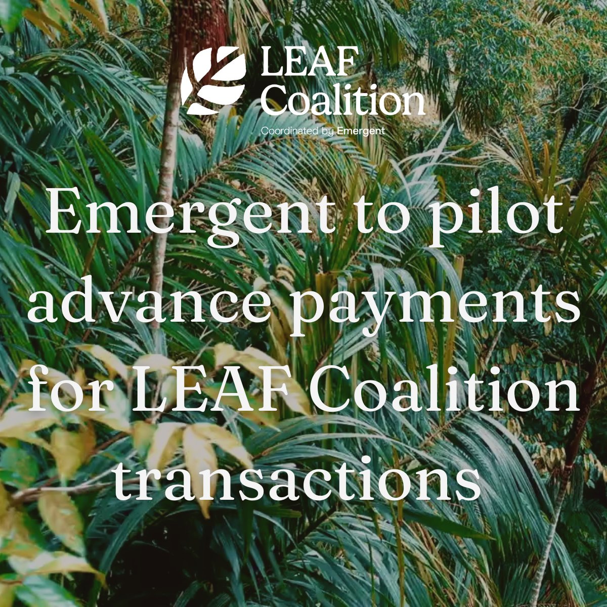 Emergent to pilot advance payments for LEAF Coalition transactions