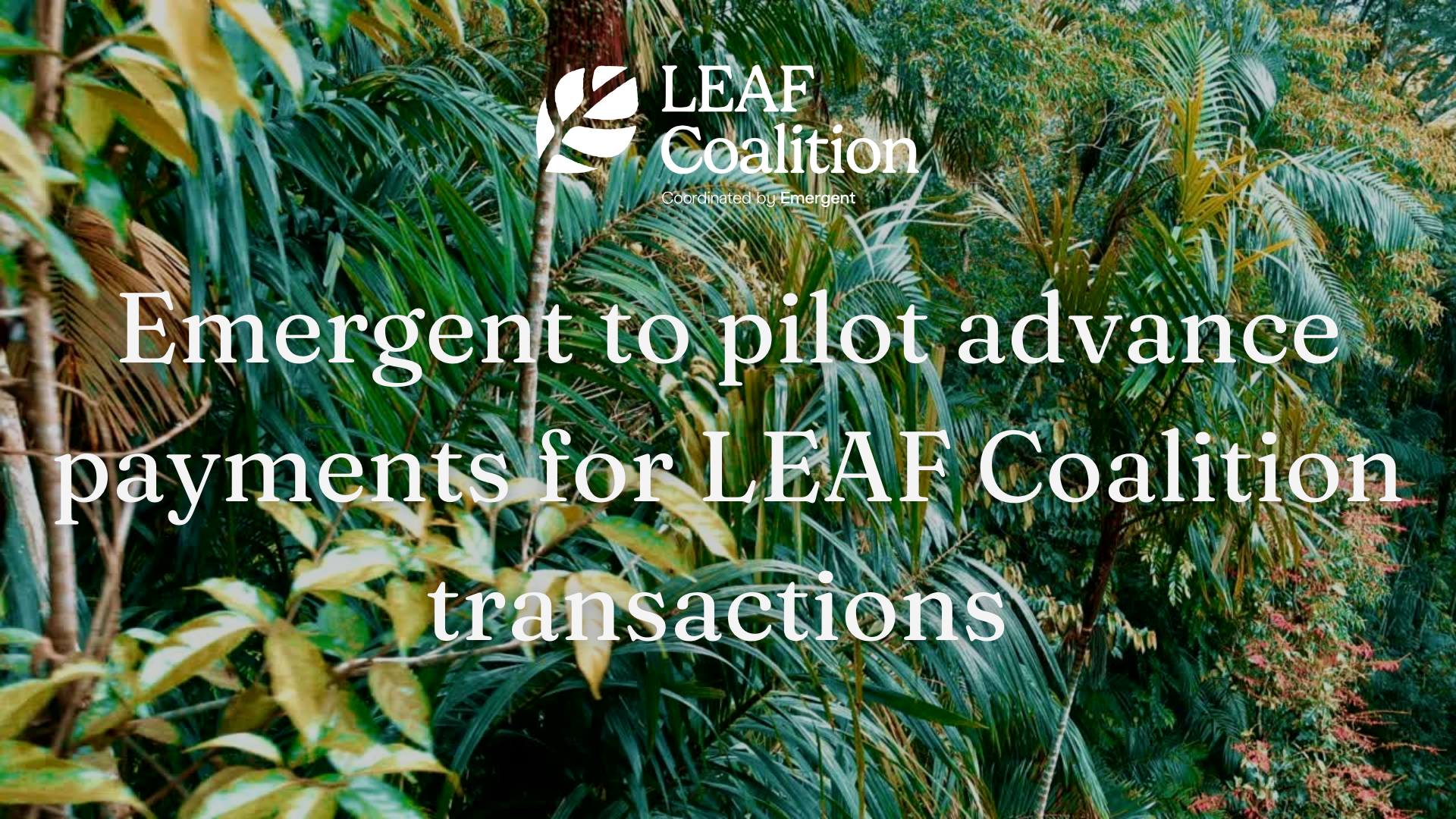 Emergent to pilot advance payments for LEAF Coalition transactions