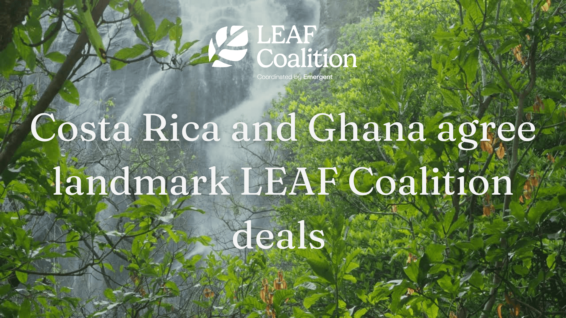 Costa Rica and Ghana Agree Landmark Deals to Supply Forest Carbon Credits to LEAF Coalition Buyers