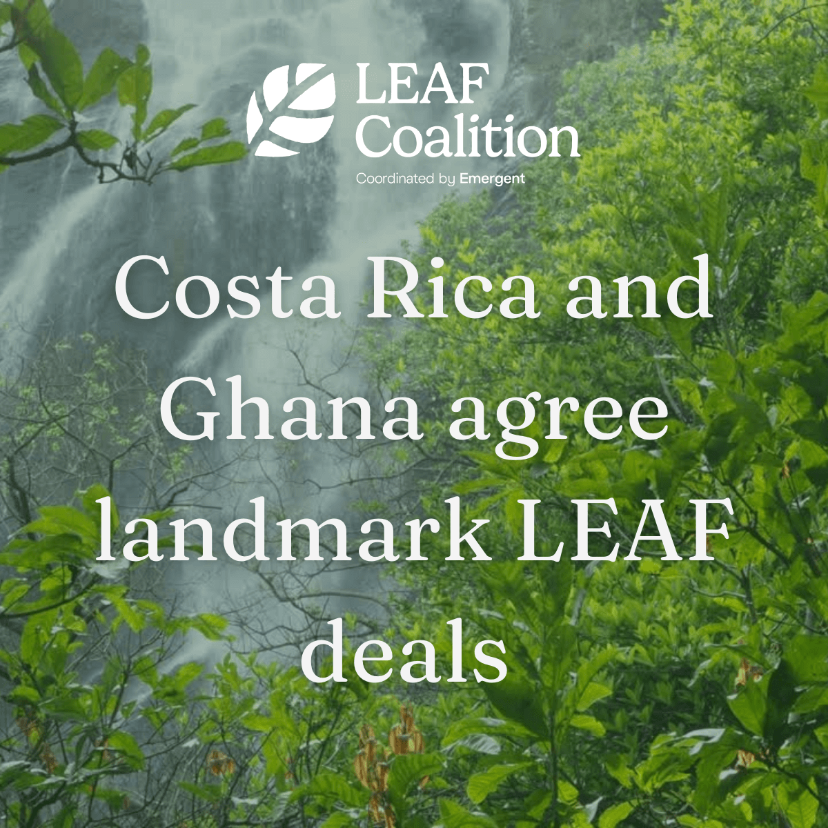 Costa Rica and Ghana Agree Landmark Deals to Supply Forest Carbon Credits to LEAF Coalition Buyers