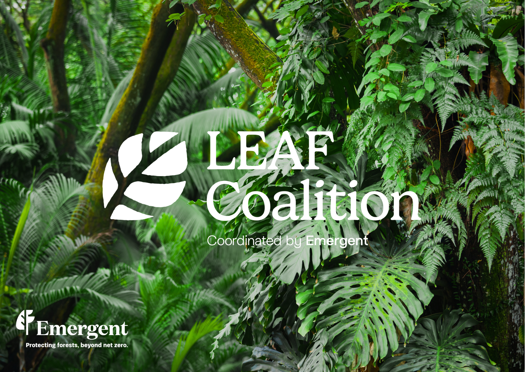 LEAF Coalition