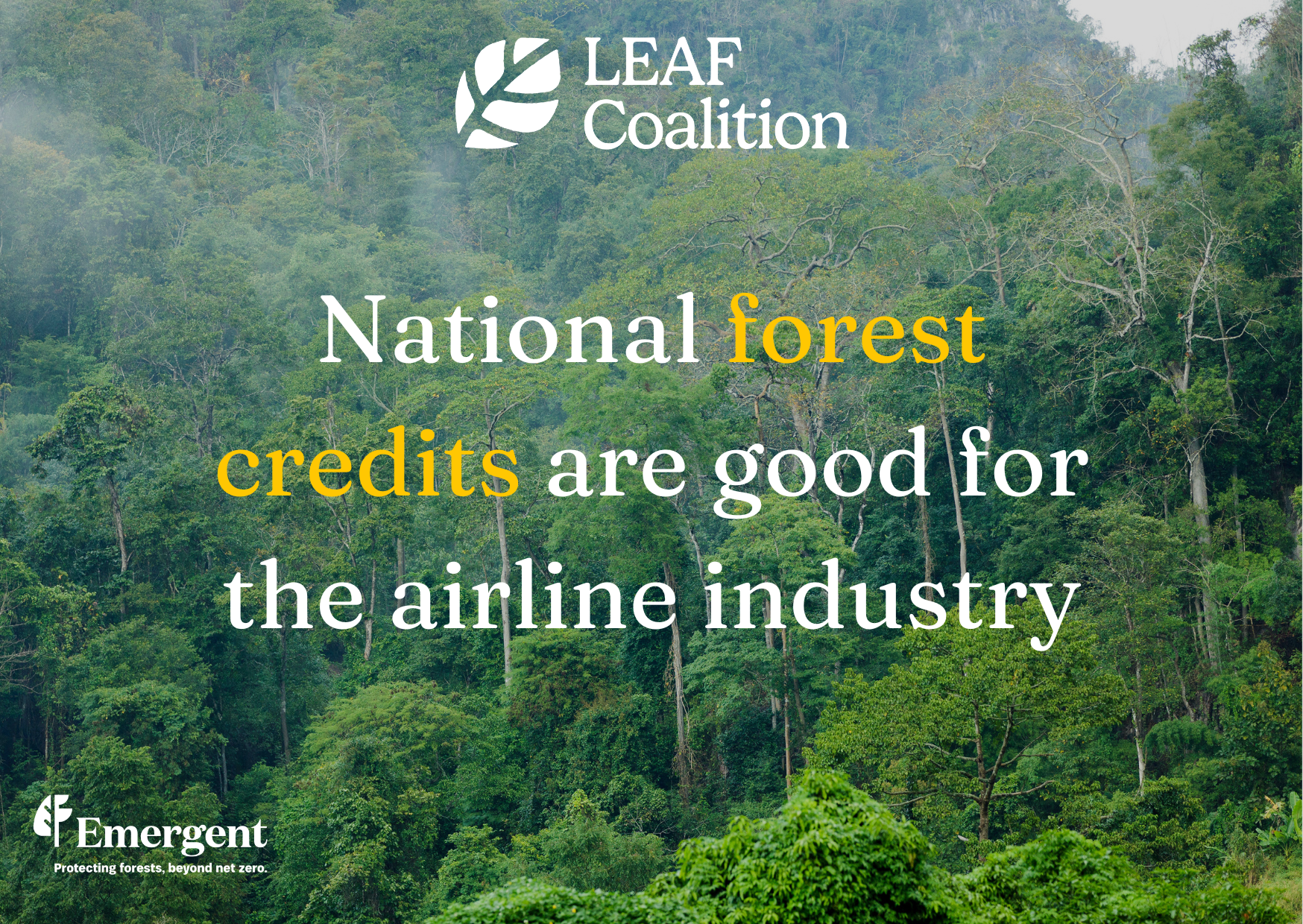 National forest credits are good for the airline industry