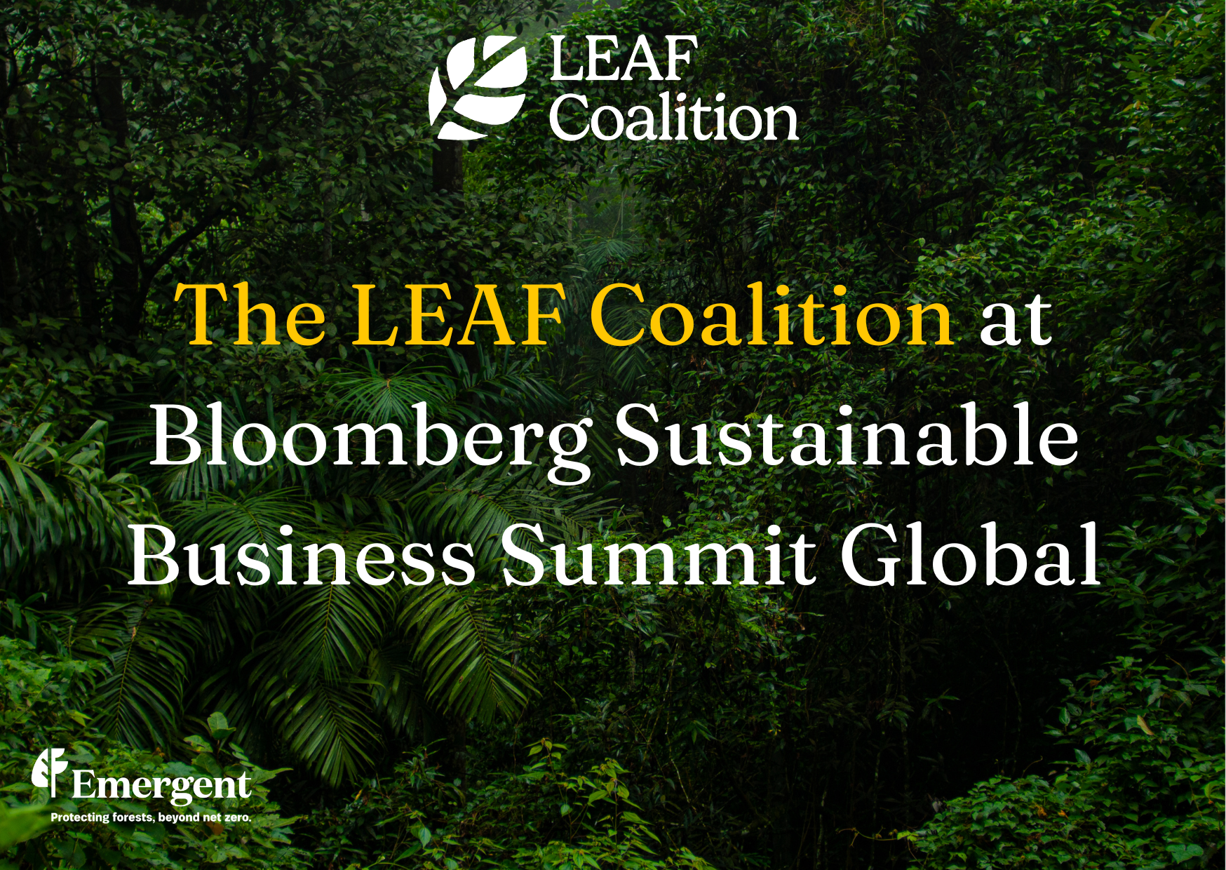 Bloomberg Sustainable Business Summit Global