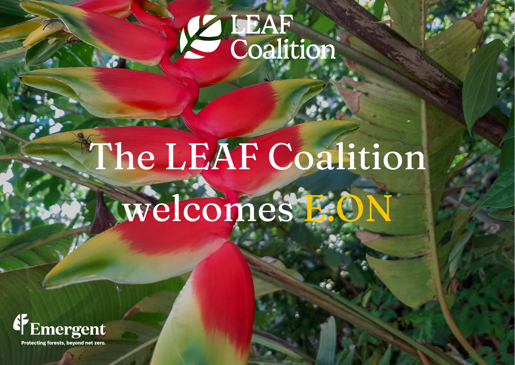 The LEAF Coalition welcomes E.ON