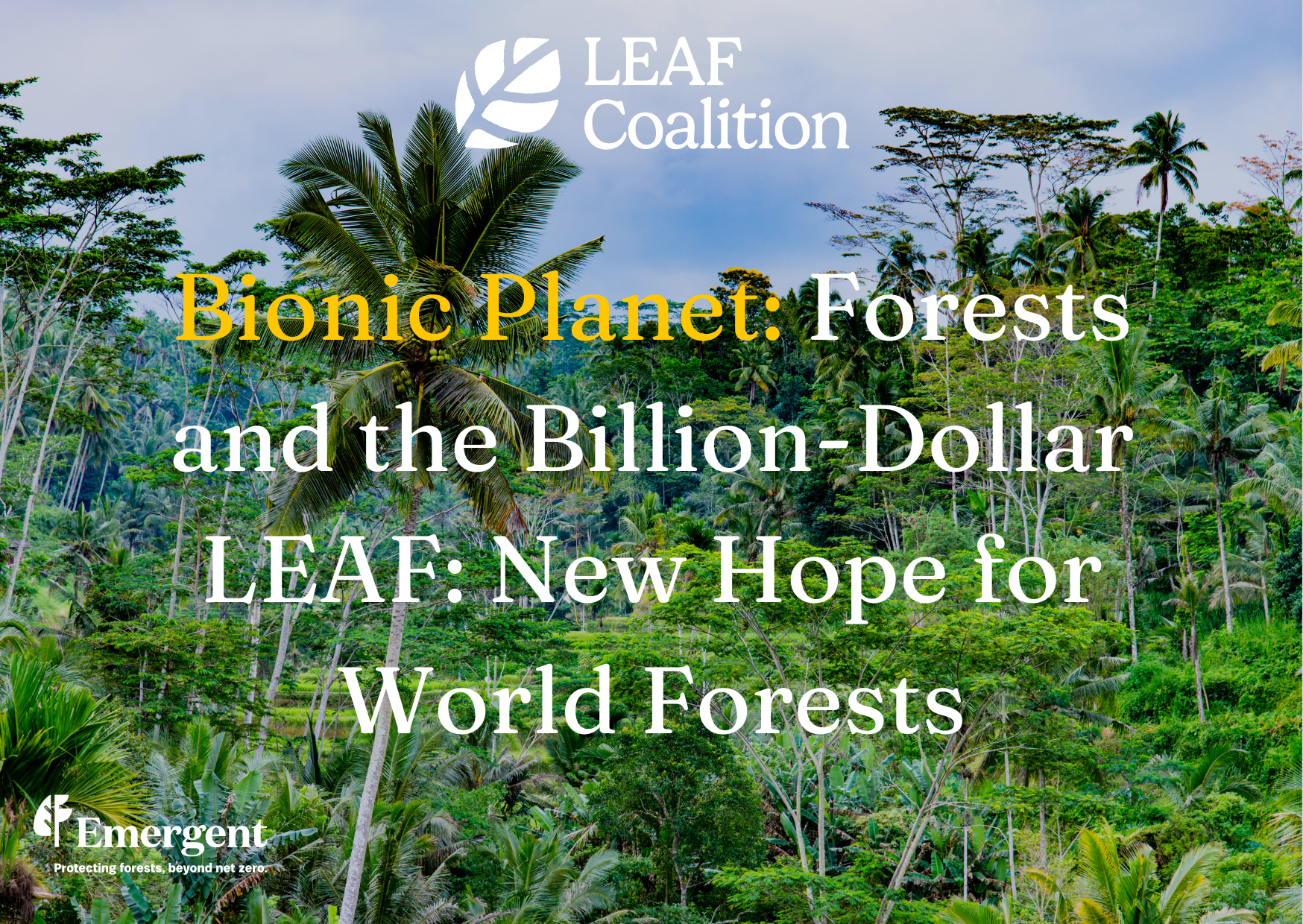 Forests and the Billion-Dollar LEAF: New Hope for World Forests