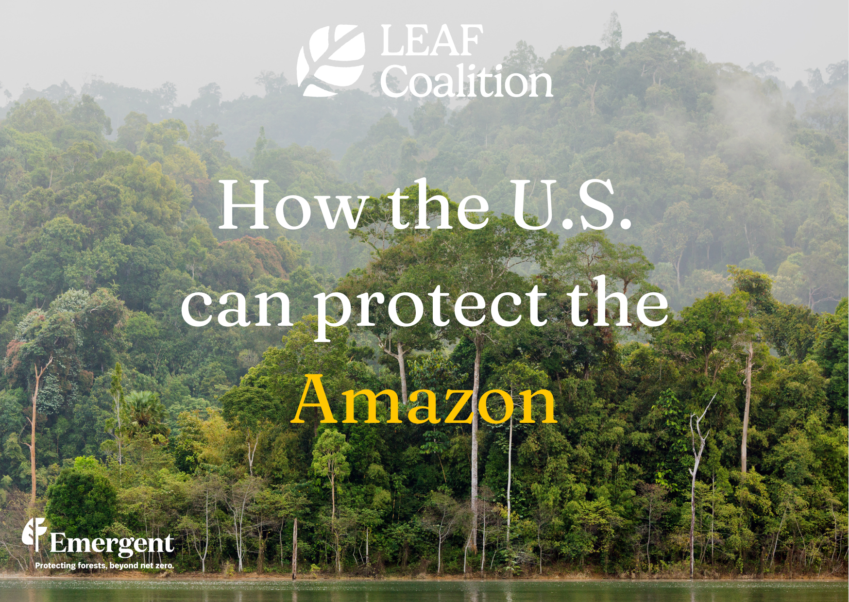 How the U.S. can protect the Amazon