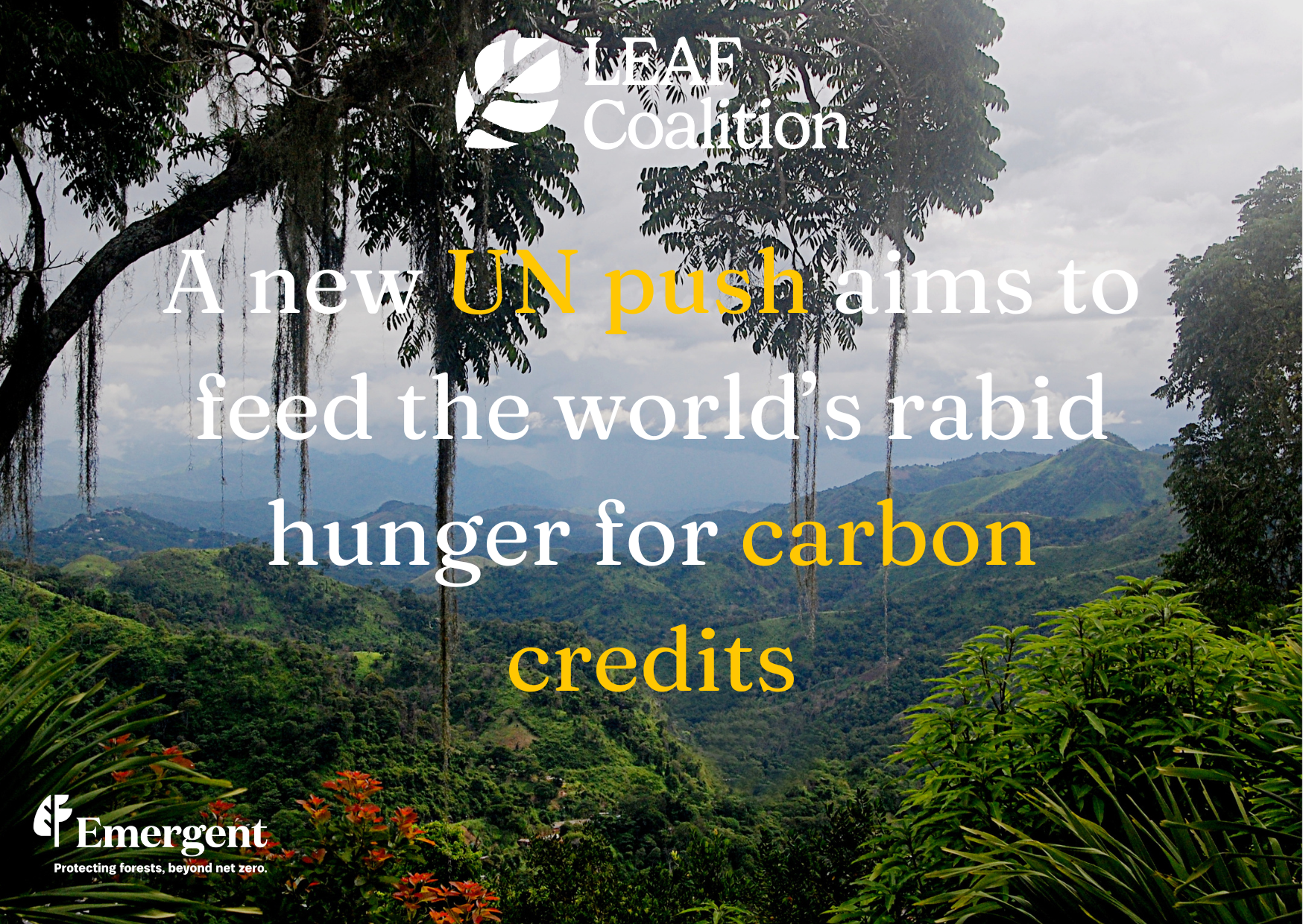 A new UN push aims to feed the world’s rabid hunger for carbon credits