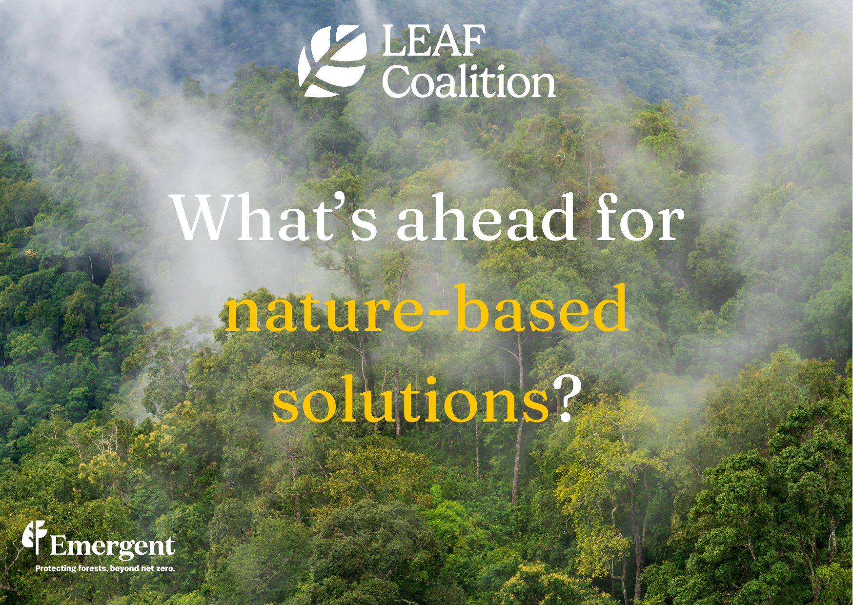 What’s ahead for nature-based solutions?