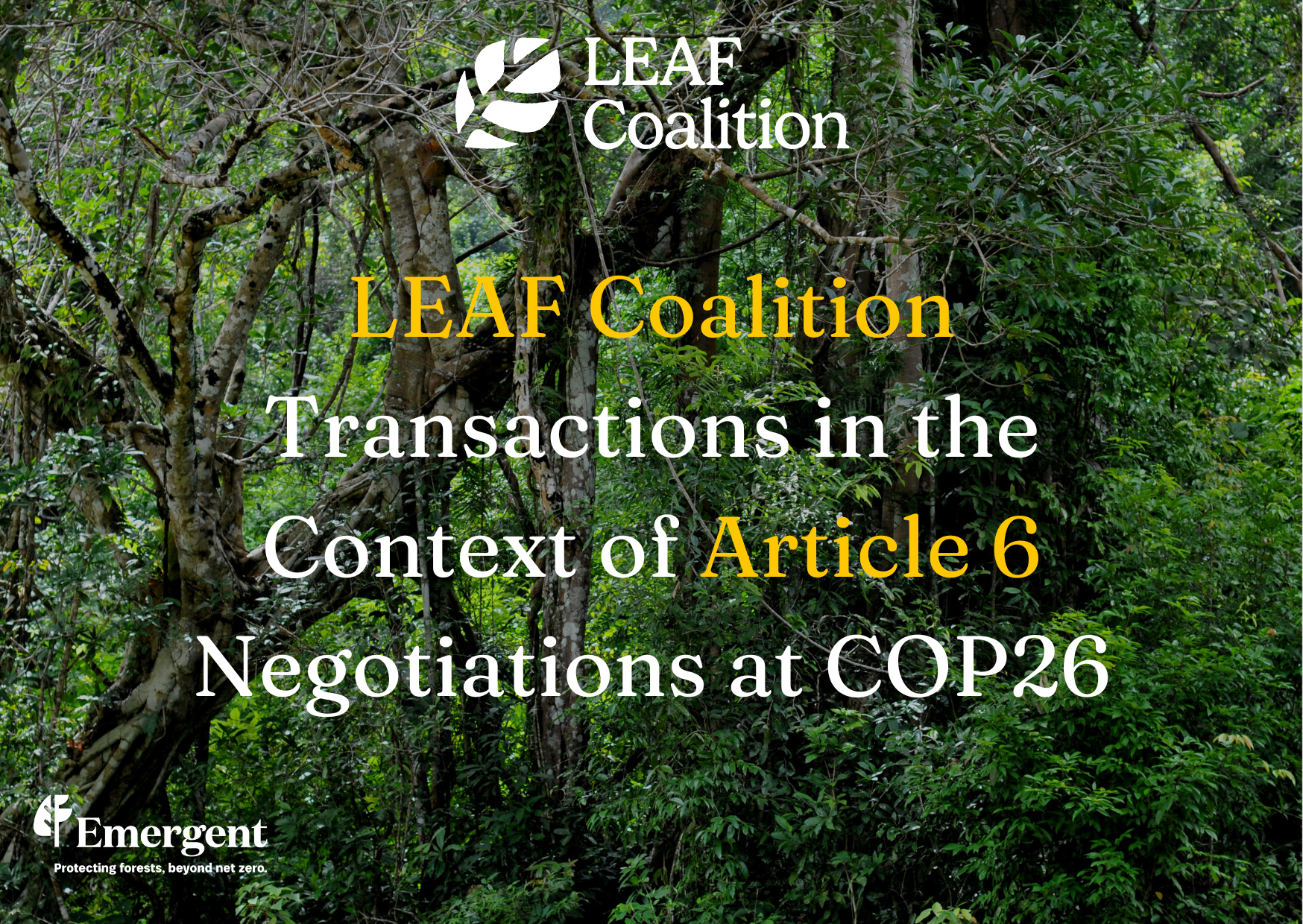 LEAF Coalition Transactions in the Context of Article 6 Negotiations at COP26