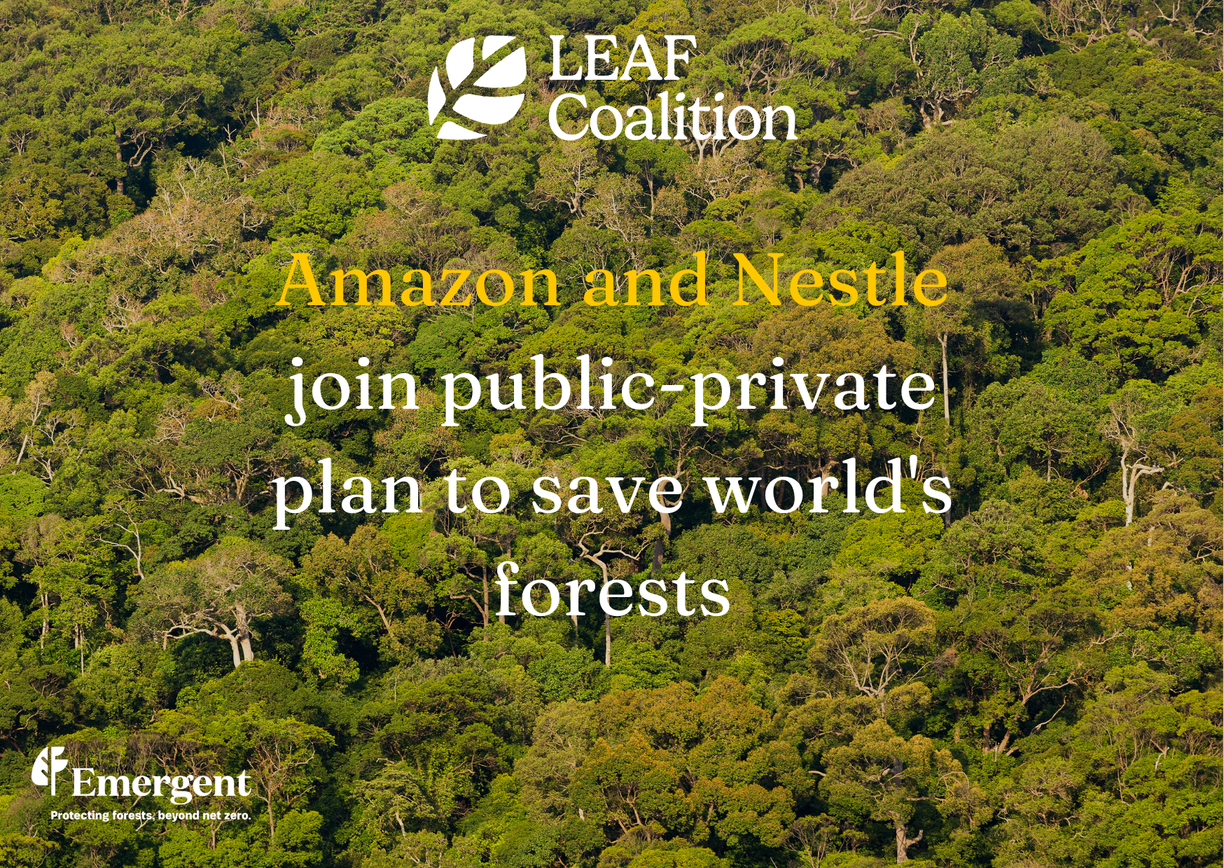 Amazon and Nestle join public-private plan to save world's forests