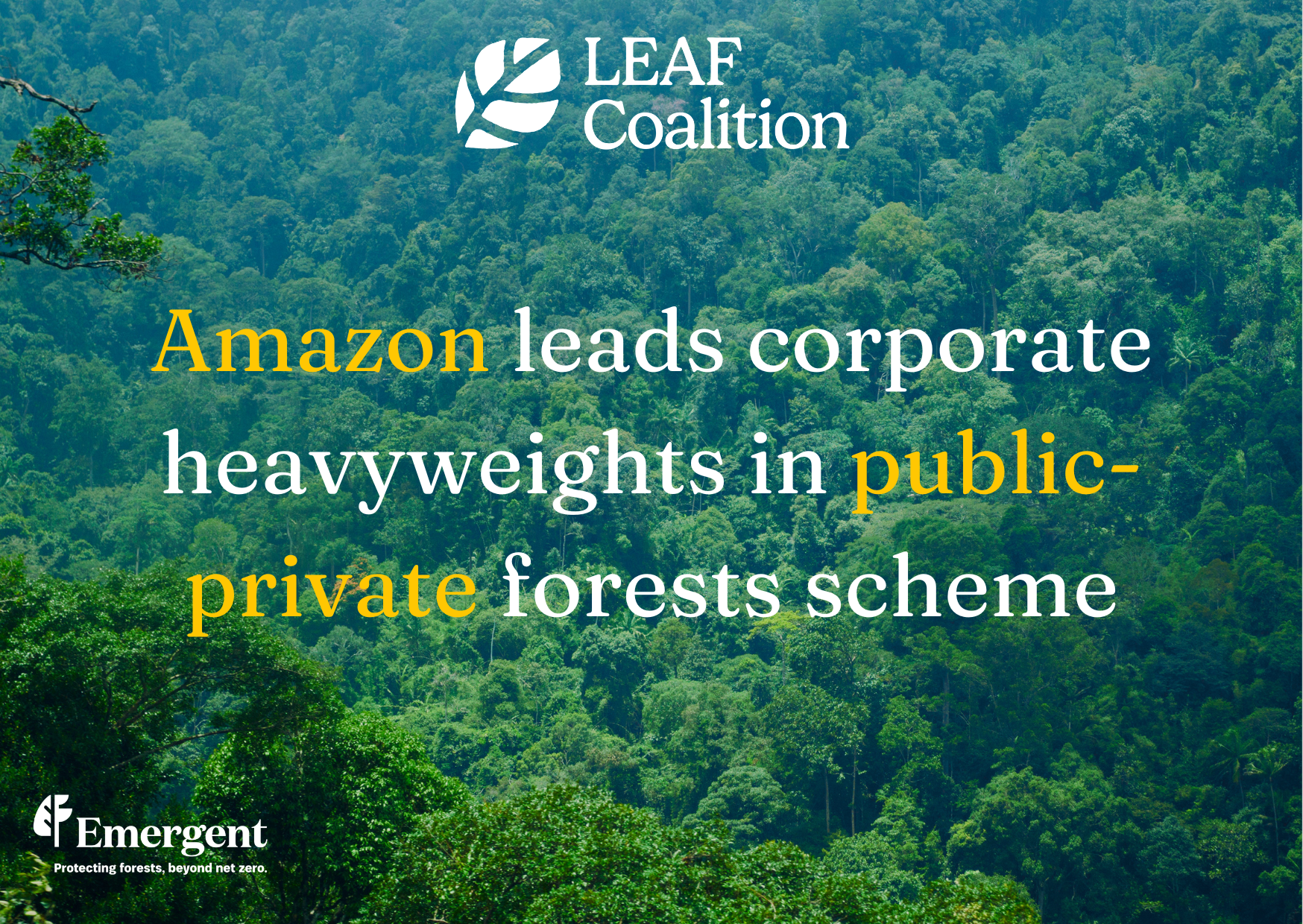 Amazon leads corporate heavyweights in public-private forests scheme