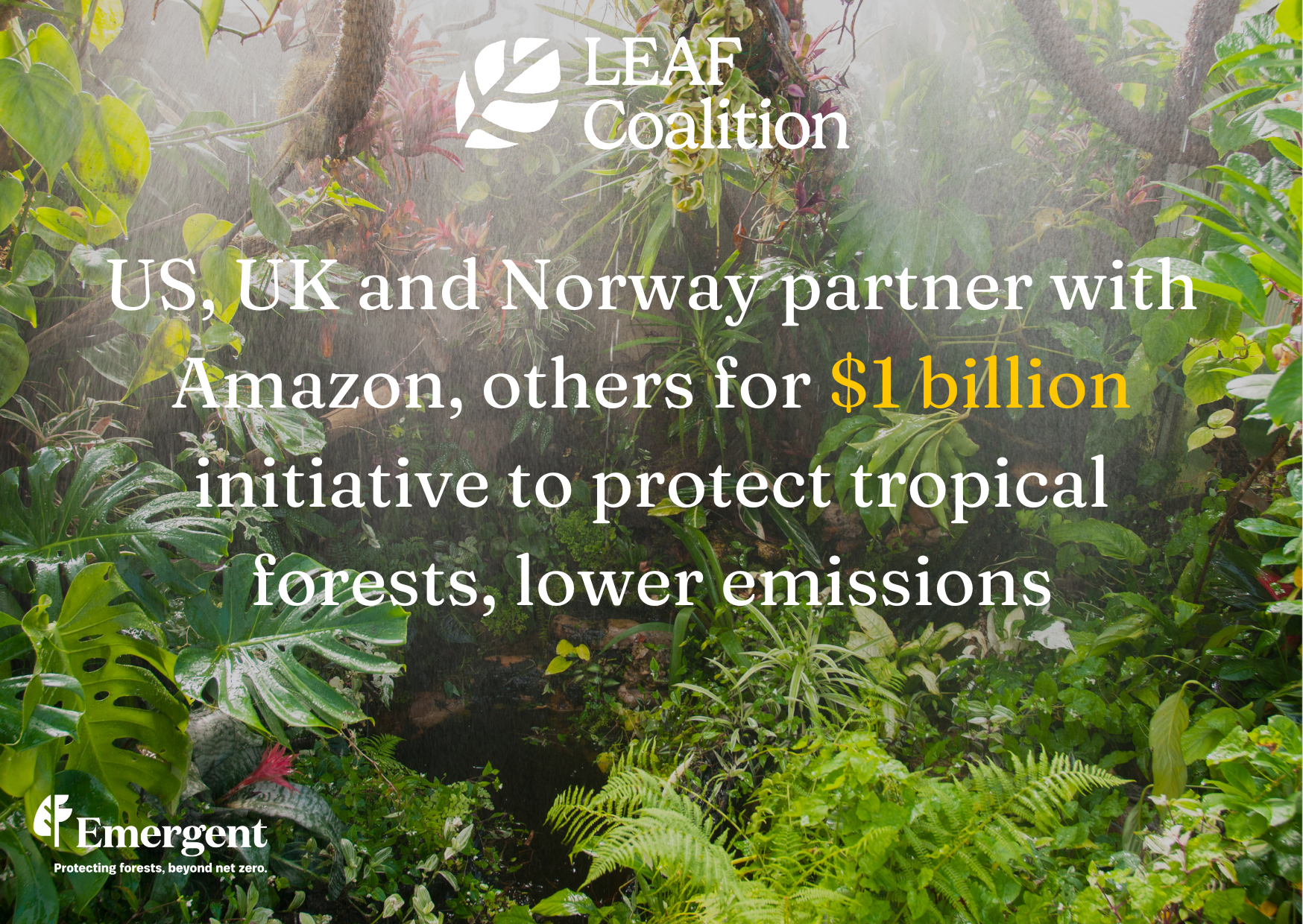 US, UK and Norway partner with Amazon, others for $1 billion initiative to protect tropical forests, lower emissions