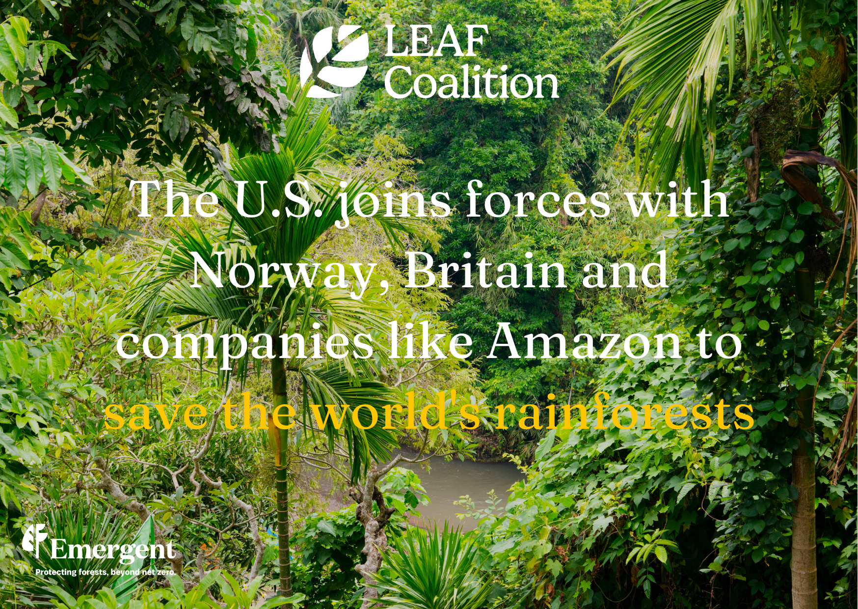 The U.S. joins forces with Norway, Britain and companies like Amazon to save the world's rainforests
