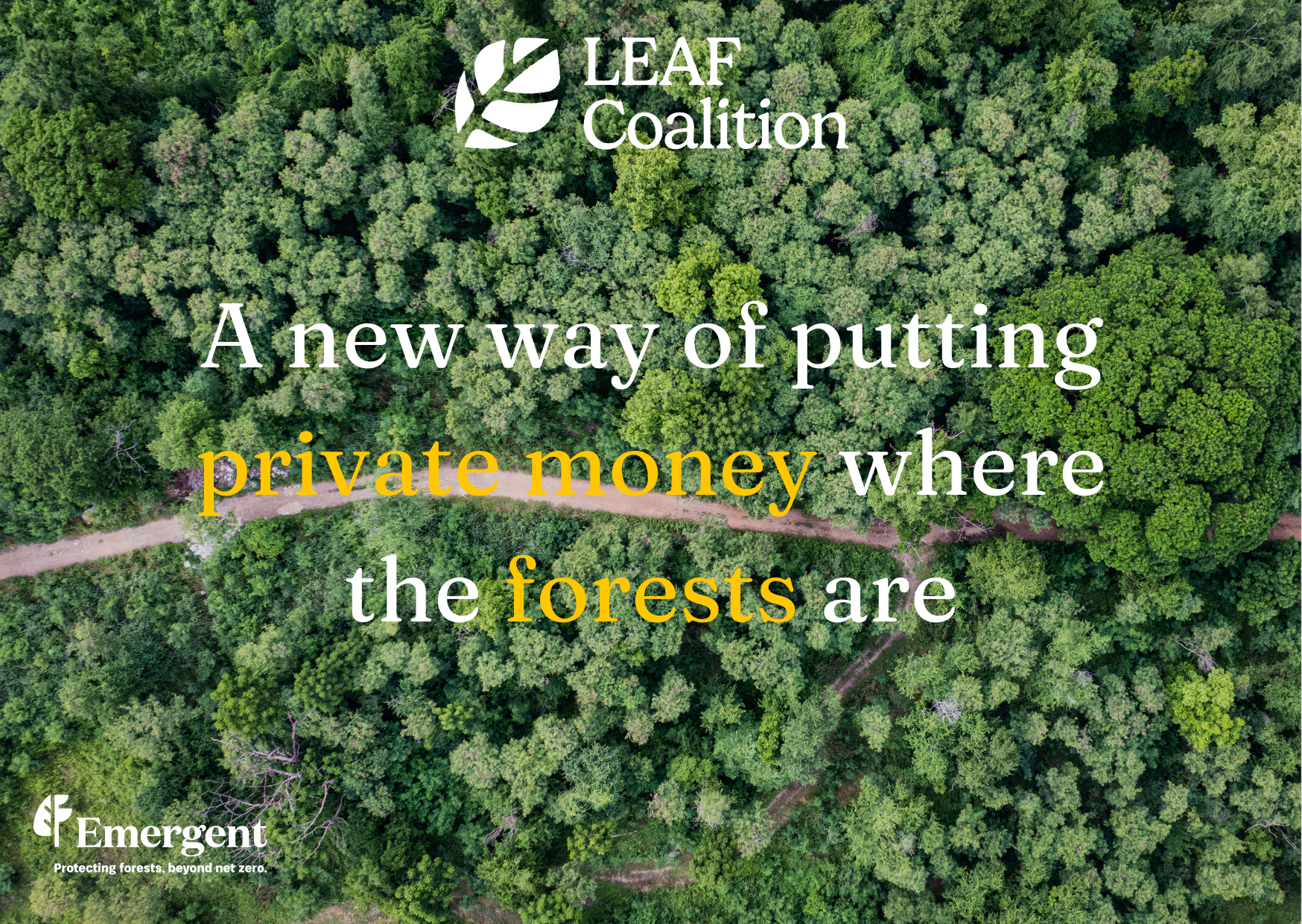A new way of putting private money where the forests are