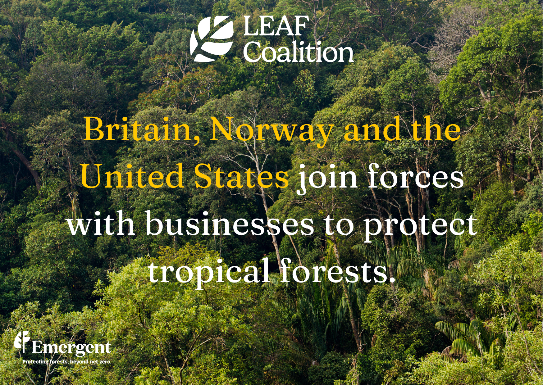 Britain, Norway and the United States join forces with businesses to protect tropical forests.