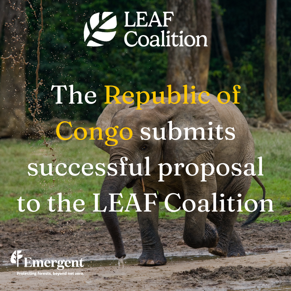 The Republic of Congo submits successful proposal to the LEAF Coalition. 