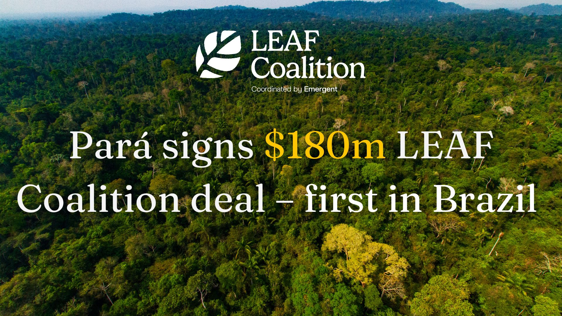 Pará signs $180m LEAF Coalition deal – first in Brazil 