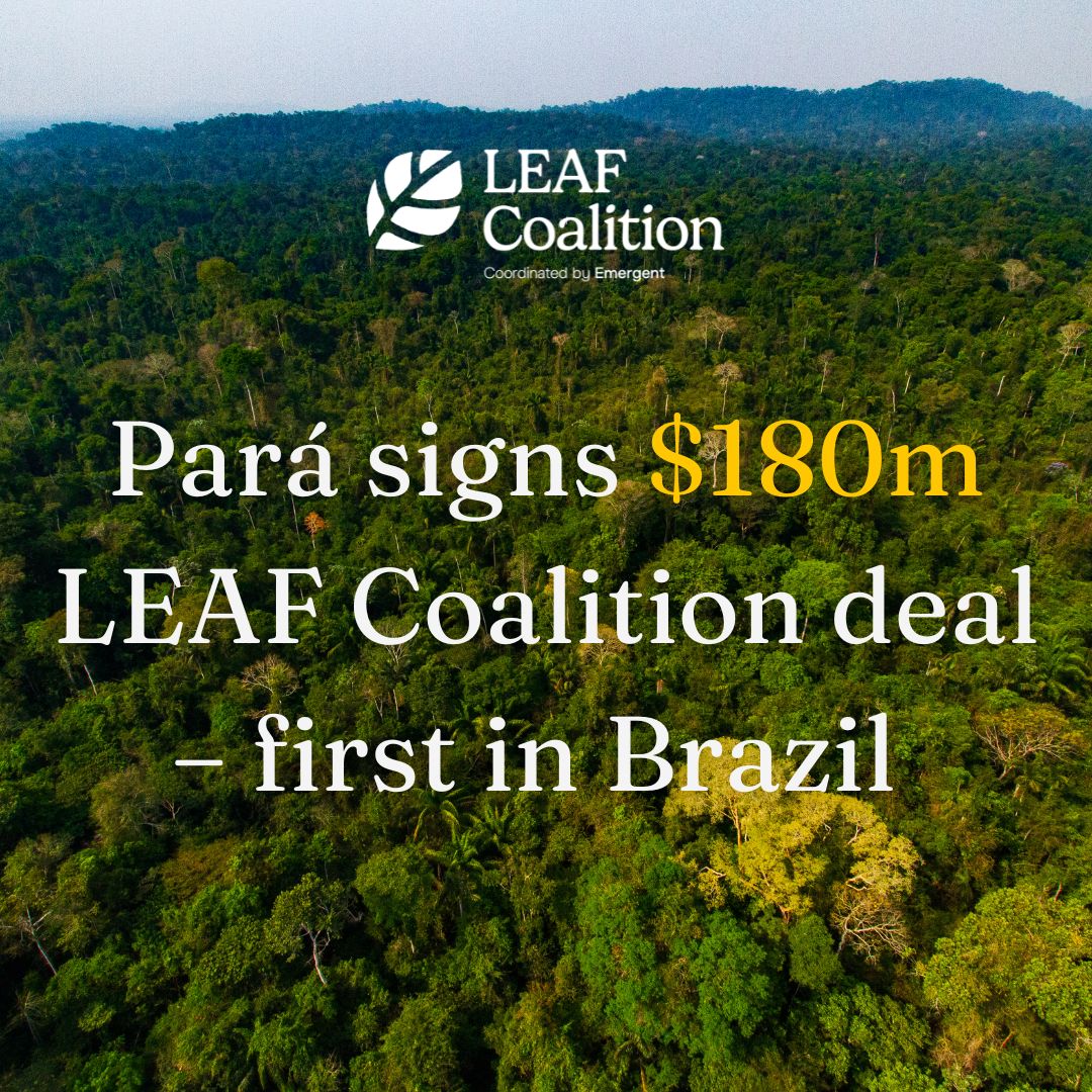 Pará signs $180m LEAF Coalition deal – first in Brazil 