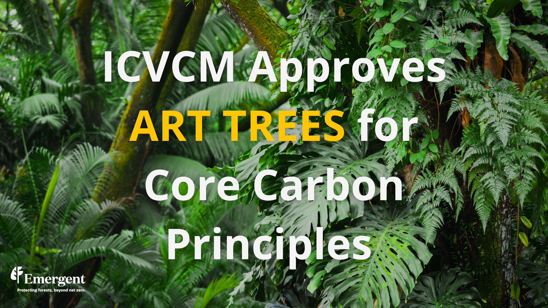 ICVCM Approves ART TREES for Core Carbon Principles