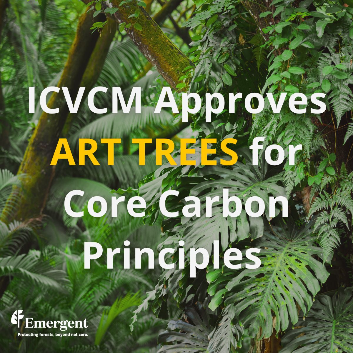 ICVCM Approves ART TREES for Core Carbon Principles