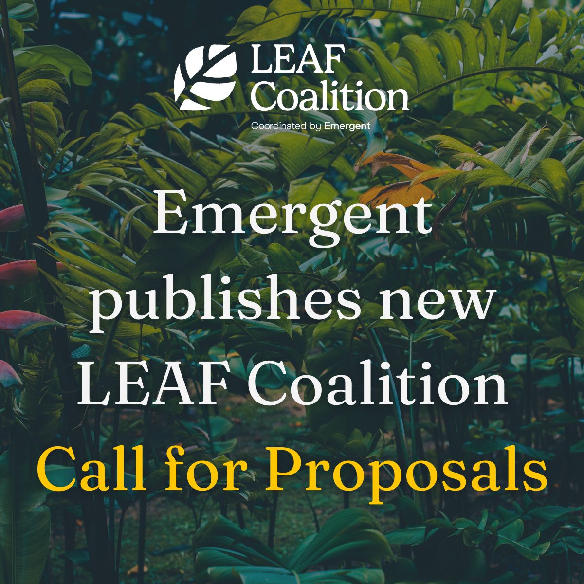 Emergent publishes new LEAF Coalition call for proposals