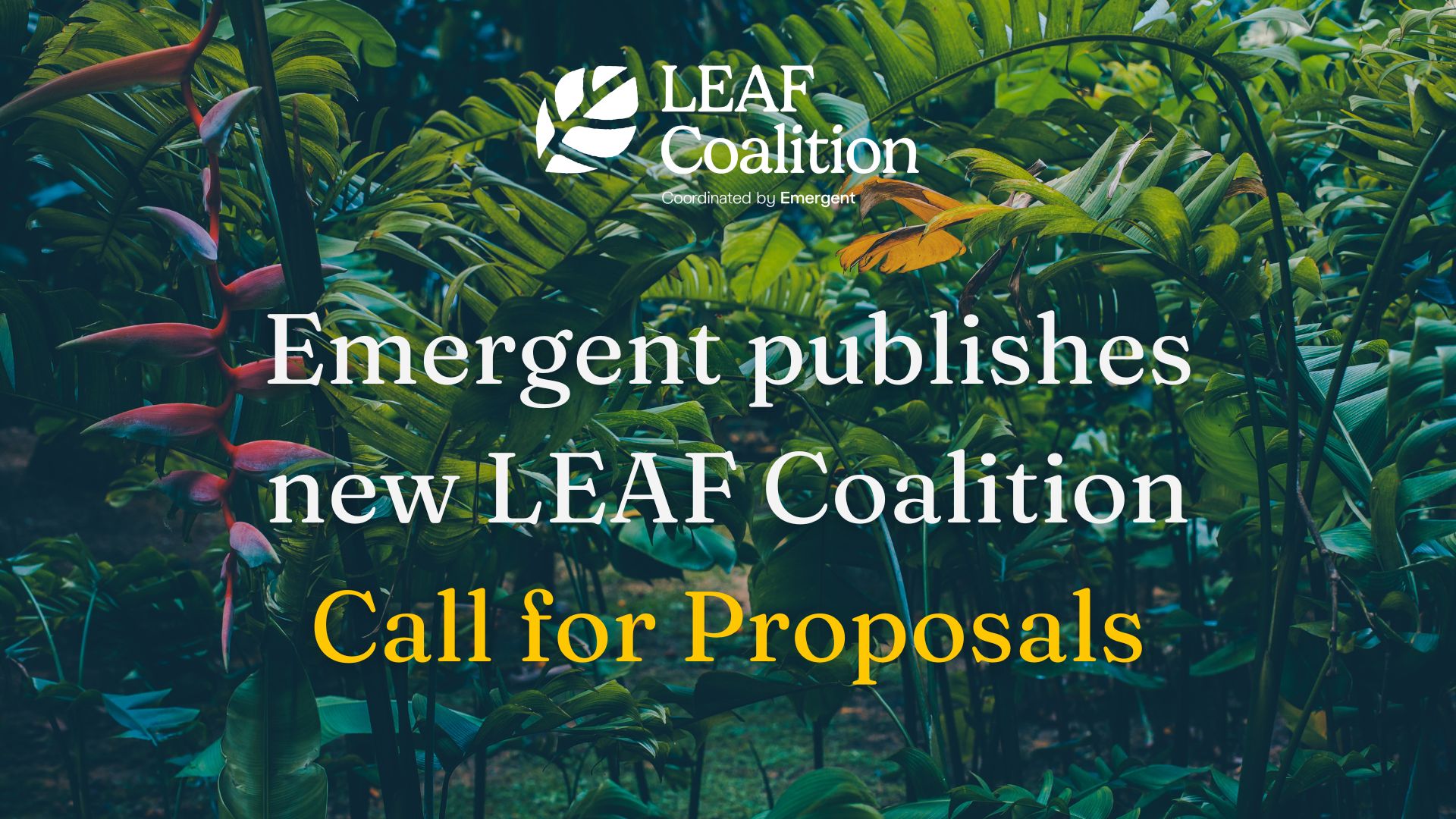 Emergent publishes new LEAF Coalition call for proposals