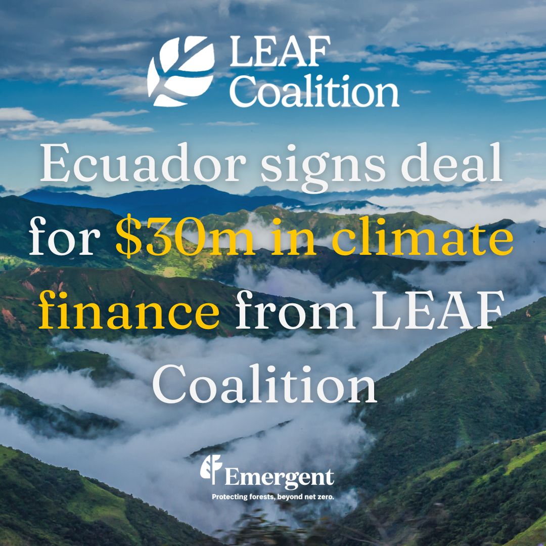 Ecuador signs deal for $30m in climate finance from LEAF Coalition