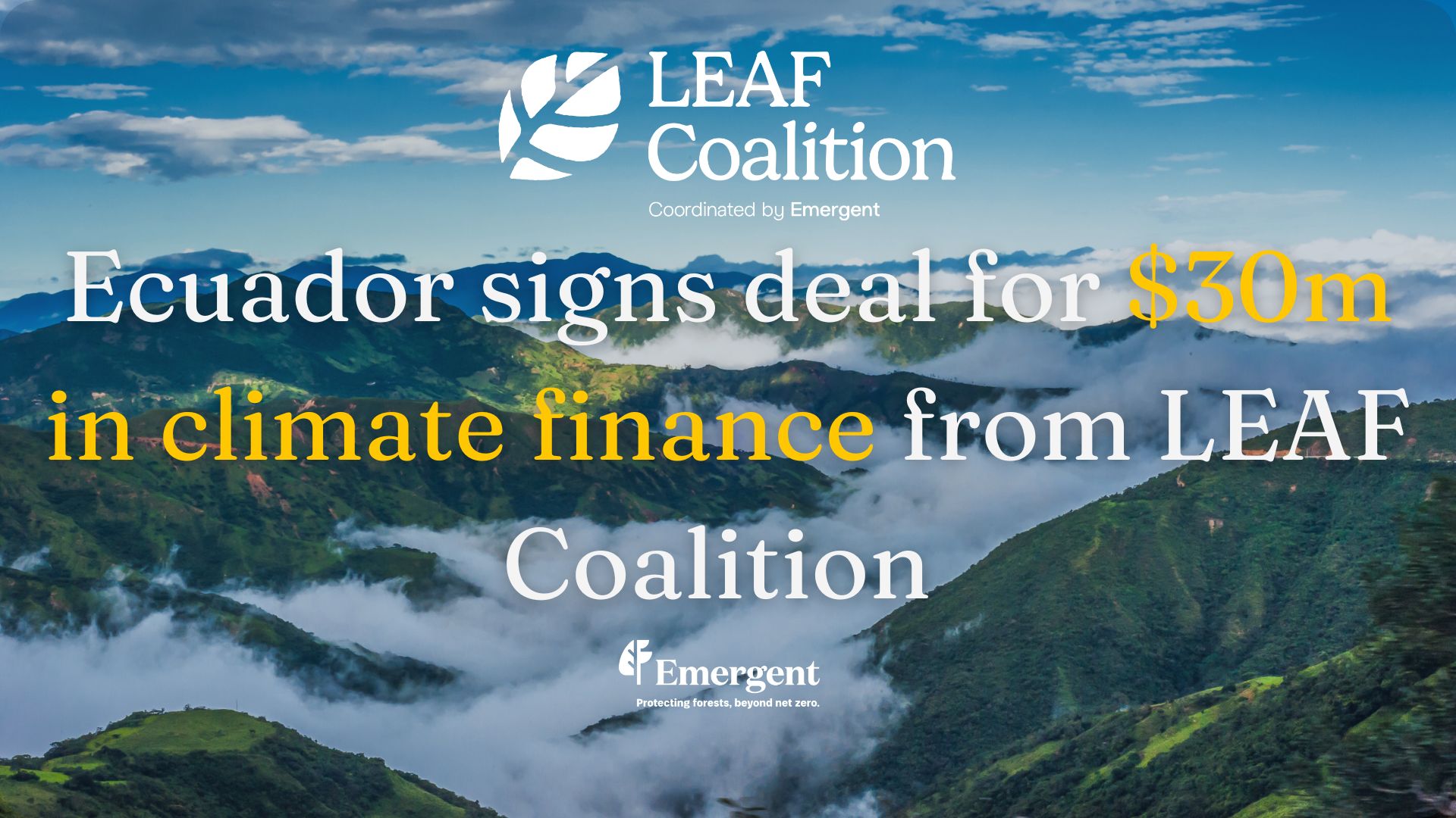 Ecuador signs deal for $30m in climate finance from LEAF Coalition