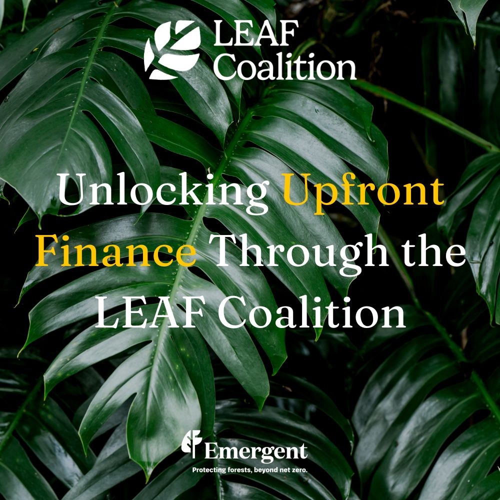 Unlocking Upfront Finance Through the LEAF Coalition