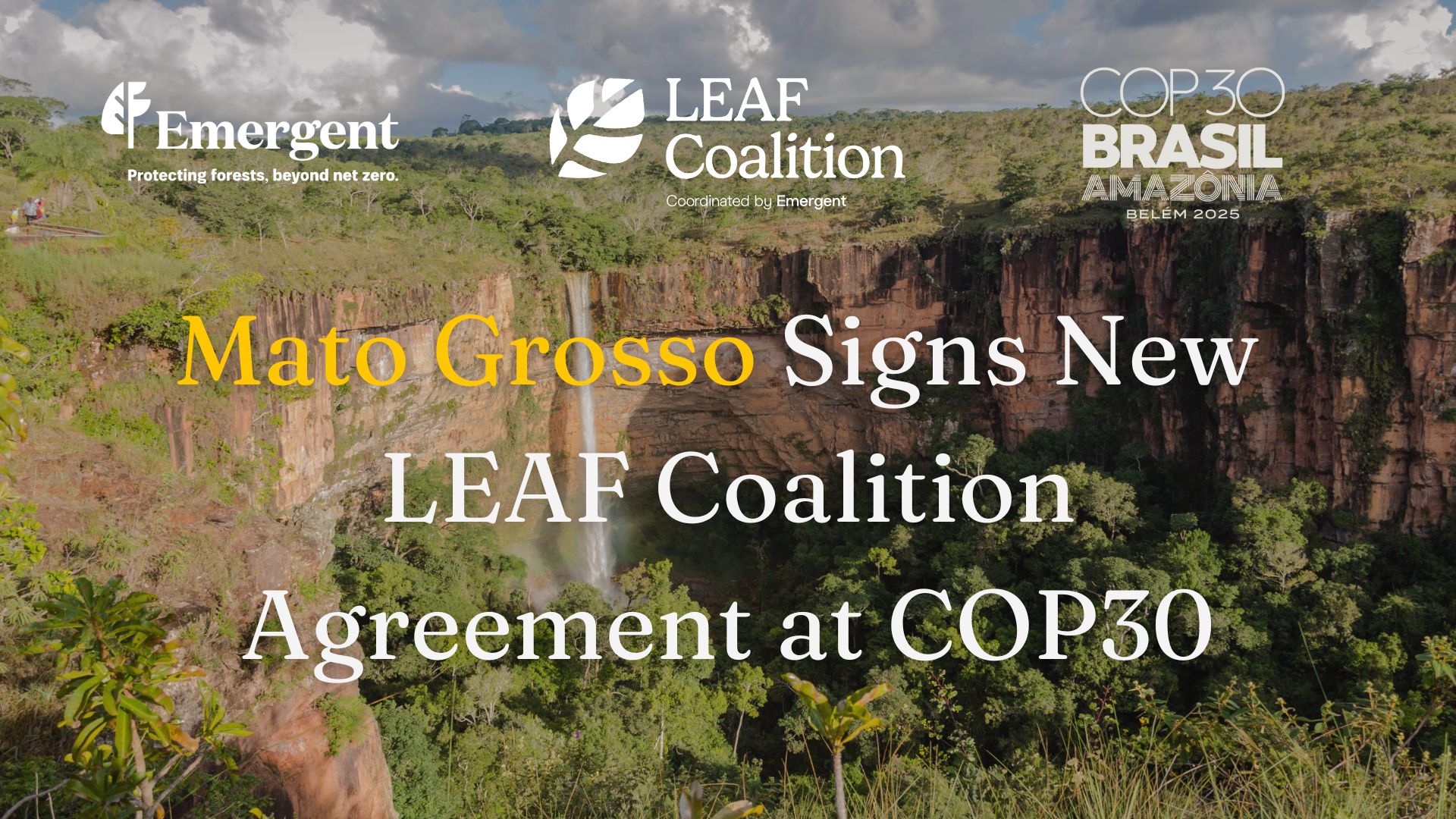 Mato Grosso Signs New LEAF Coalition Agreement