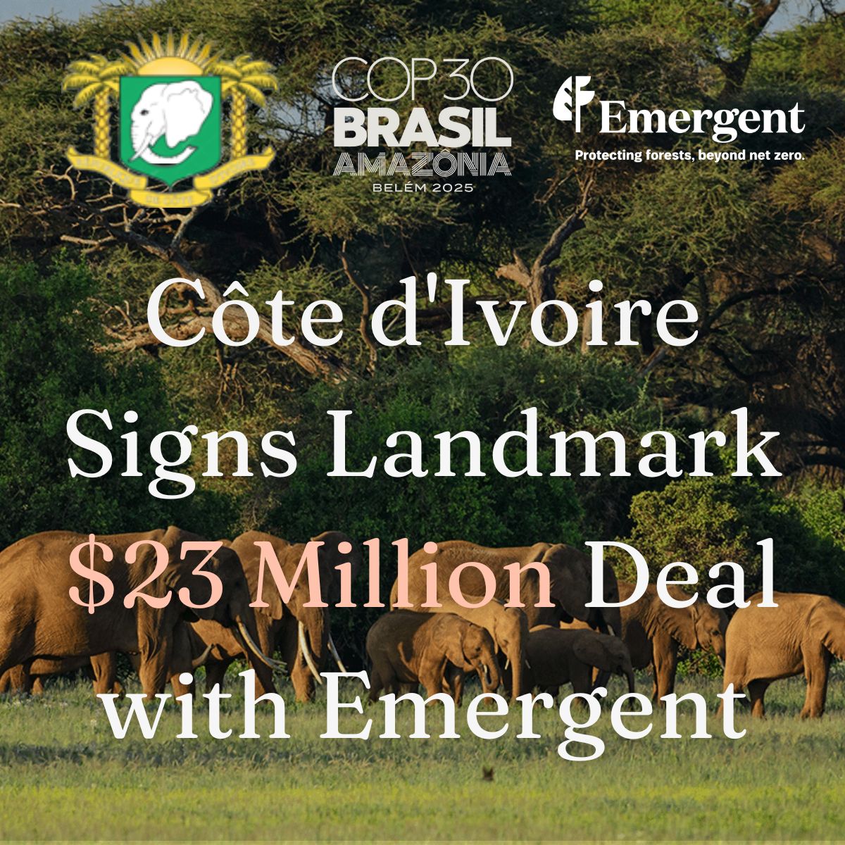 Côte d'Ivoire Signs Landmark $23 Million Deal for Verified Emissions Reductions with Emergent