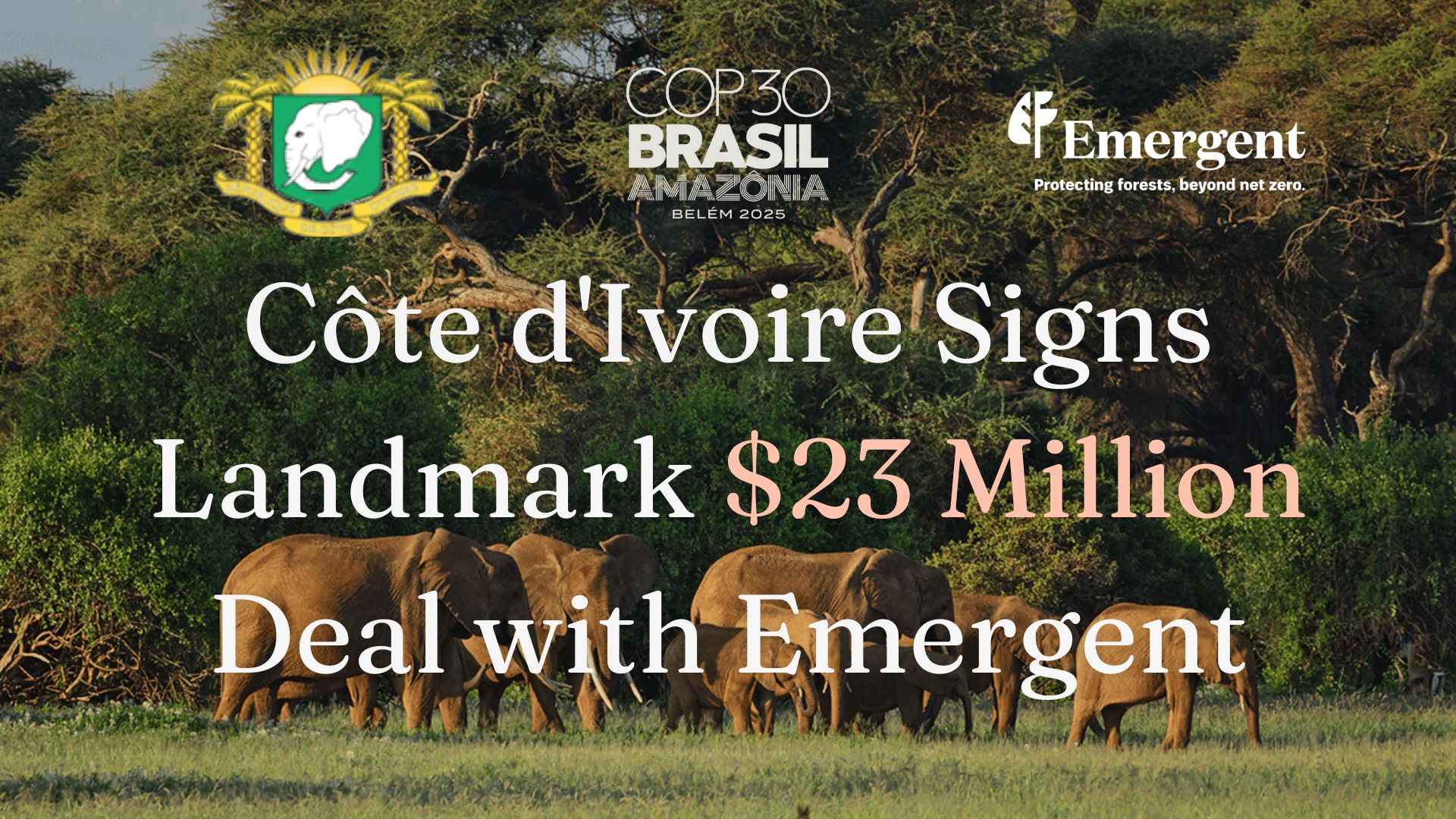 Côte d'Ivoire Signs Landmark $23 Million Deal for Verified Emissions Reductions with Emergent