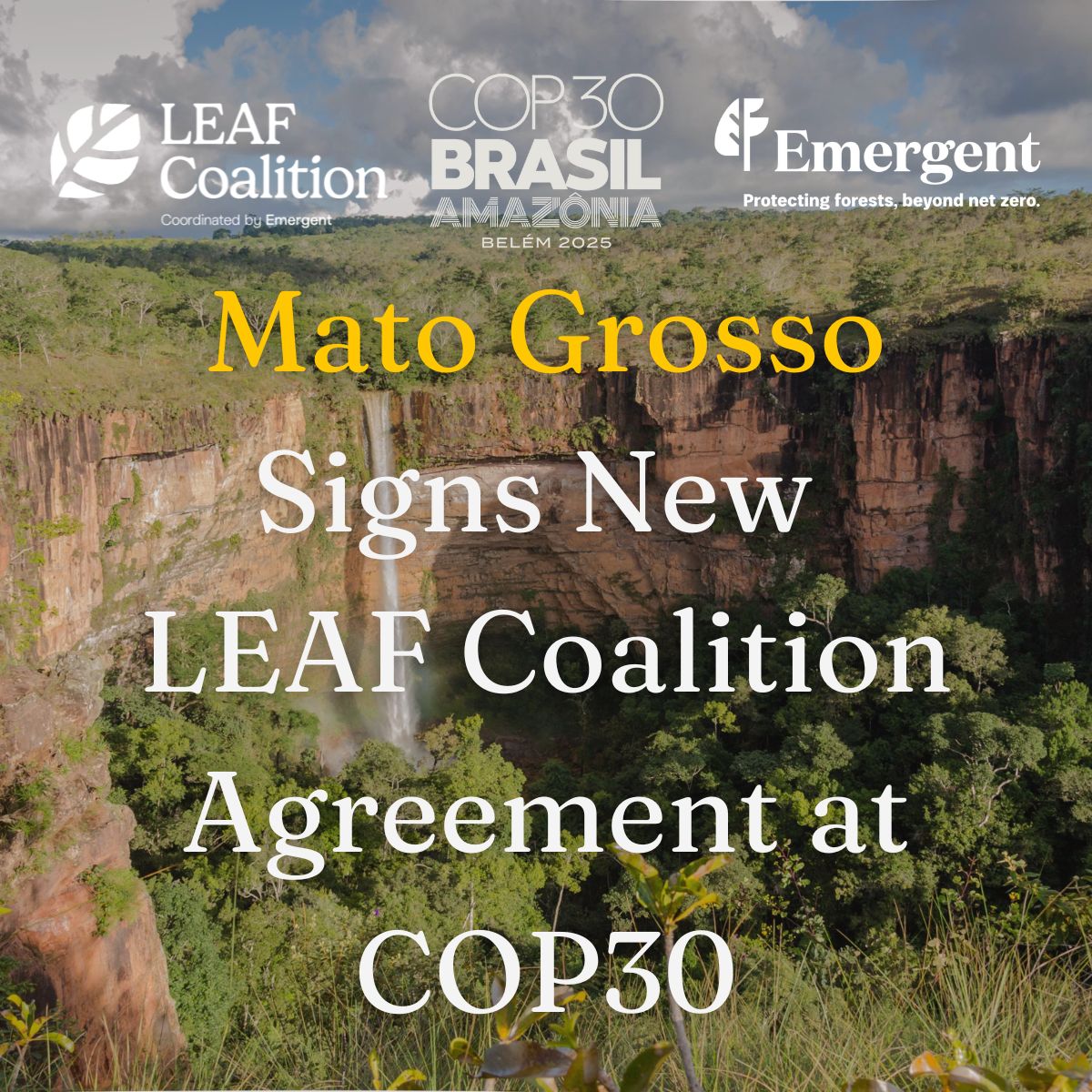 Mato Grosso Signs New LEAF Coalition Agreement