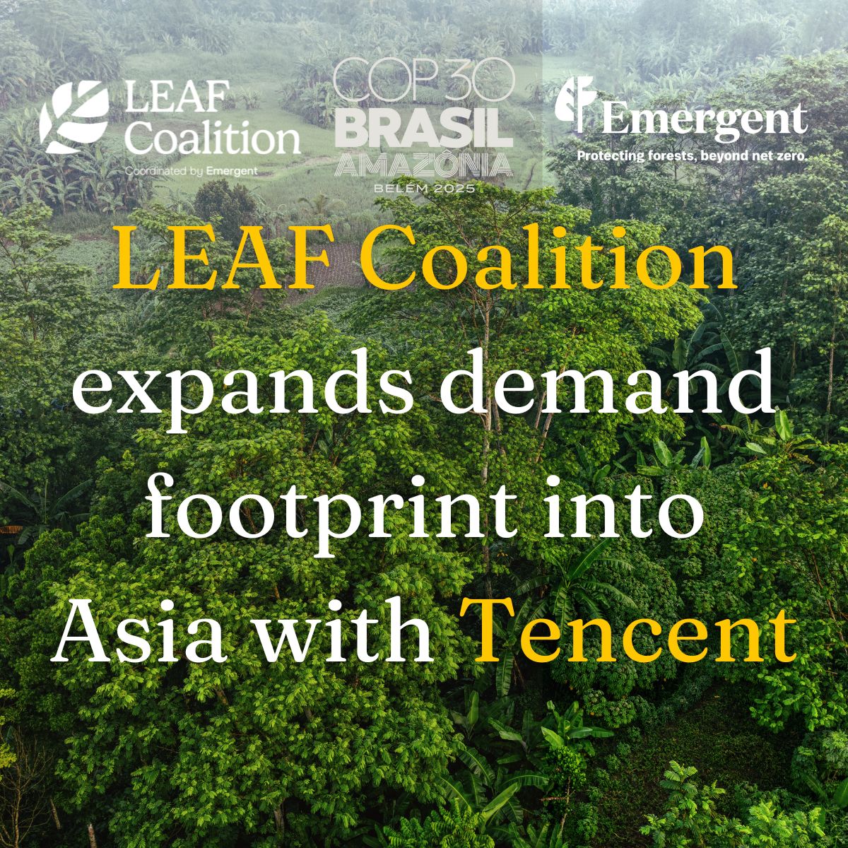 LEAF Coalition expands demand footprint into Asia with Tencent