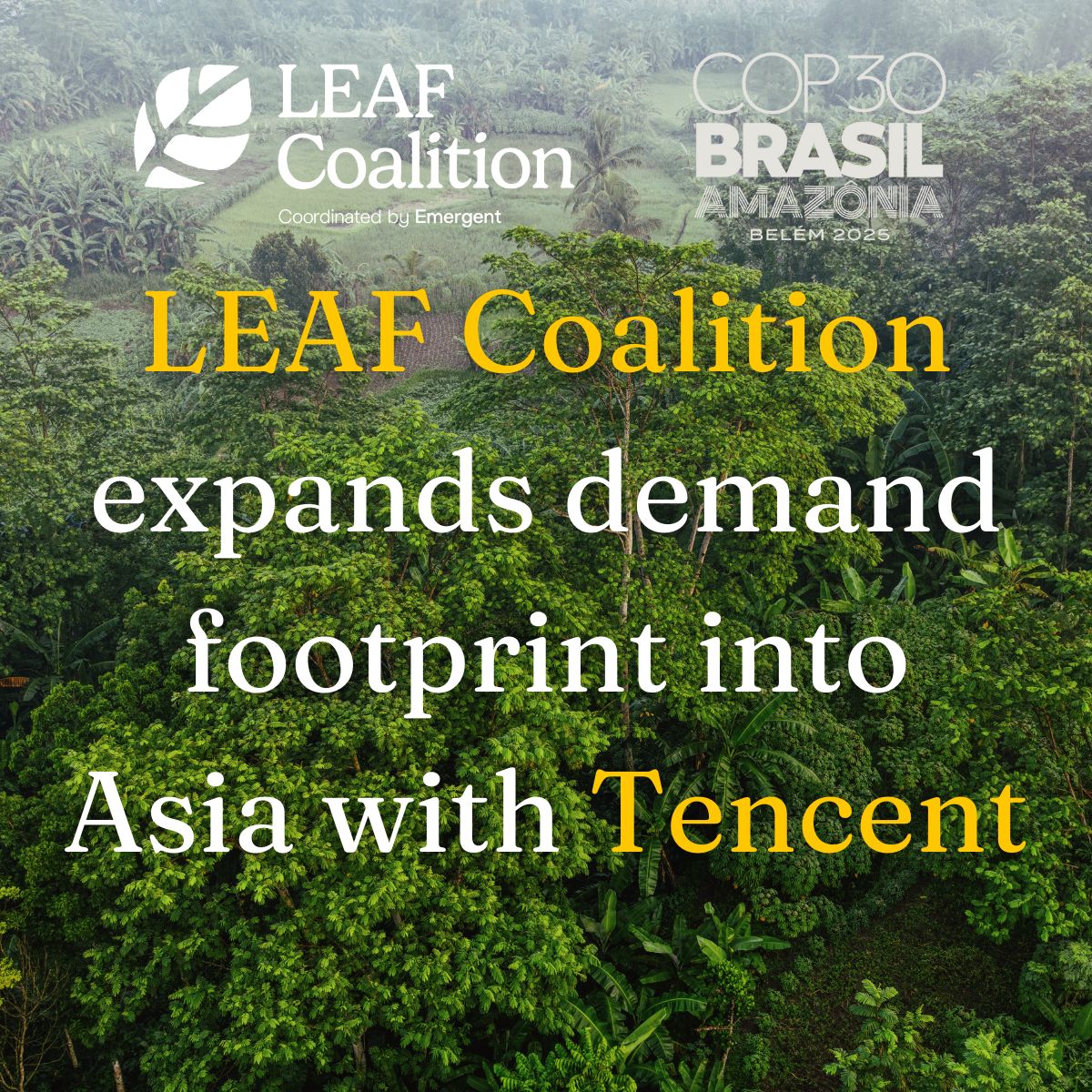 LEAF Coalition expands demand footprint into Asia with Tencent