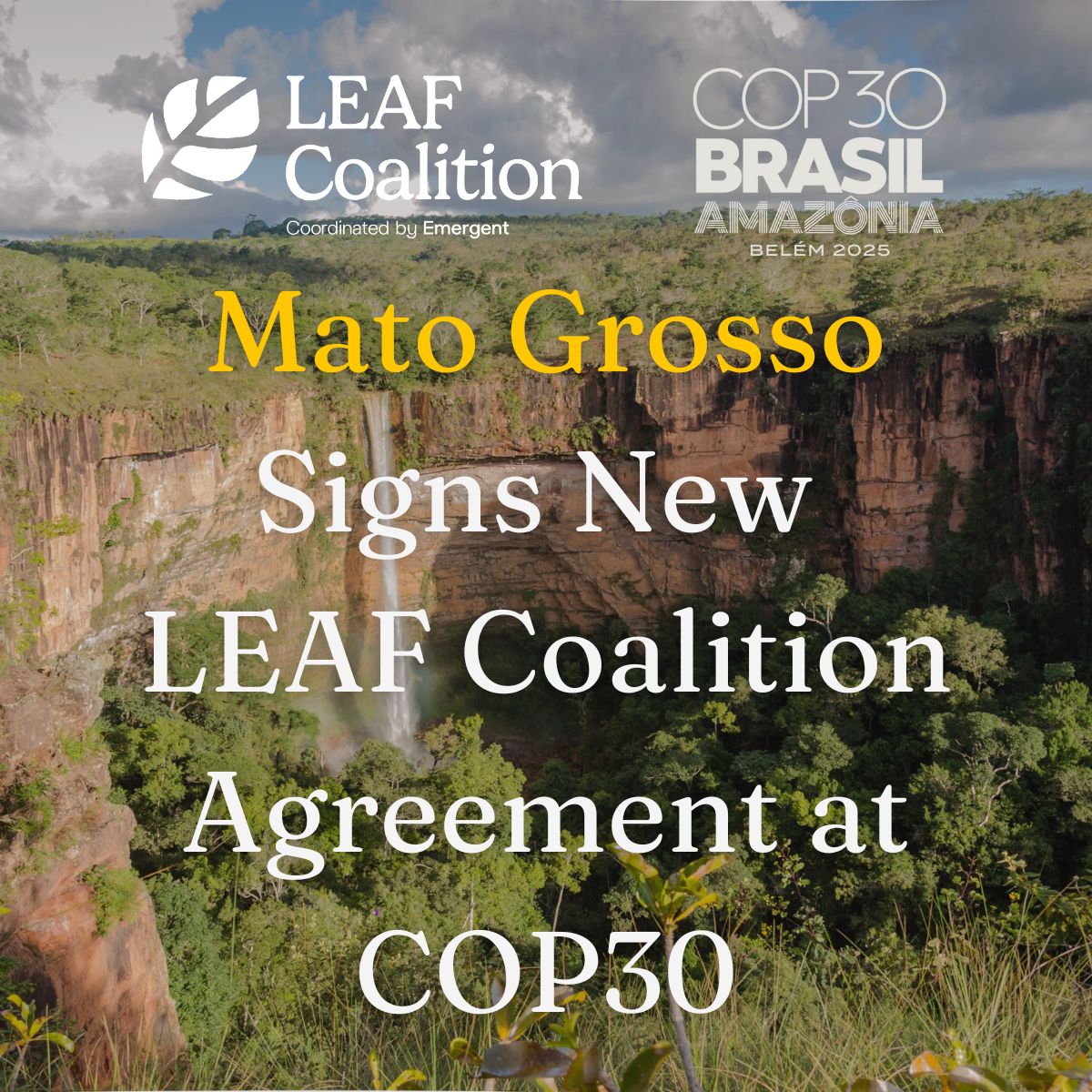 Mato Grosso Signs New LEAF Coalition Agreement